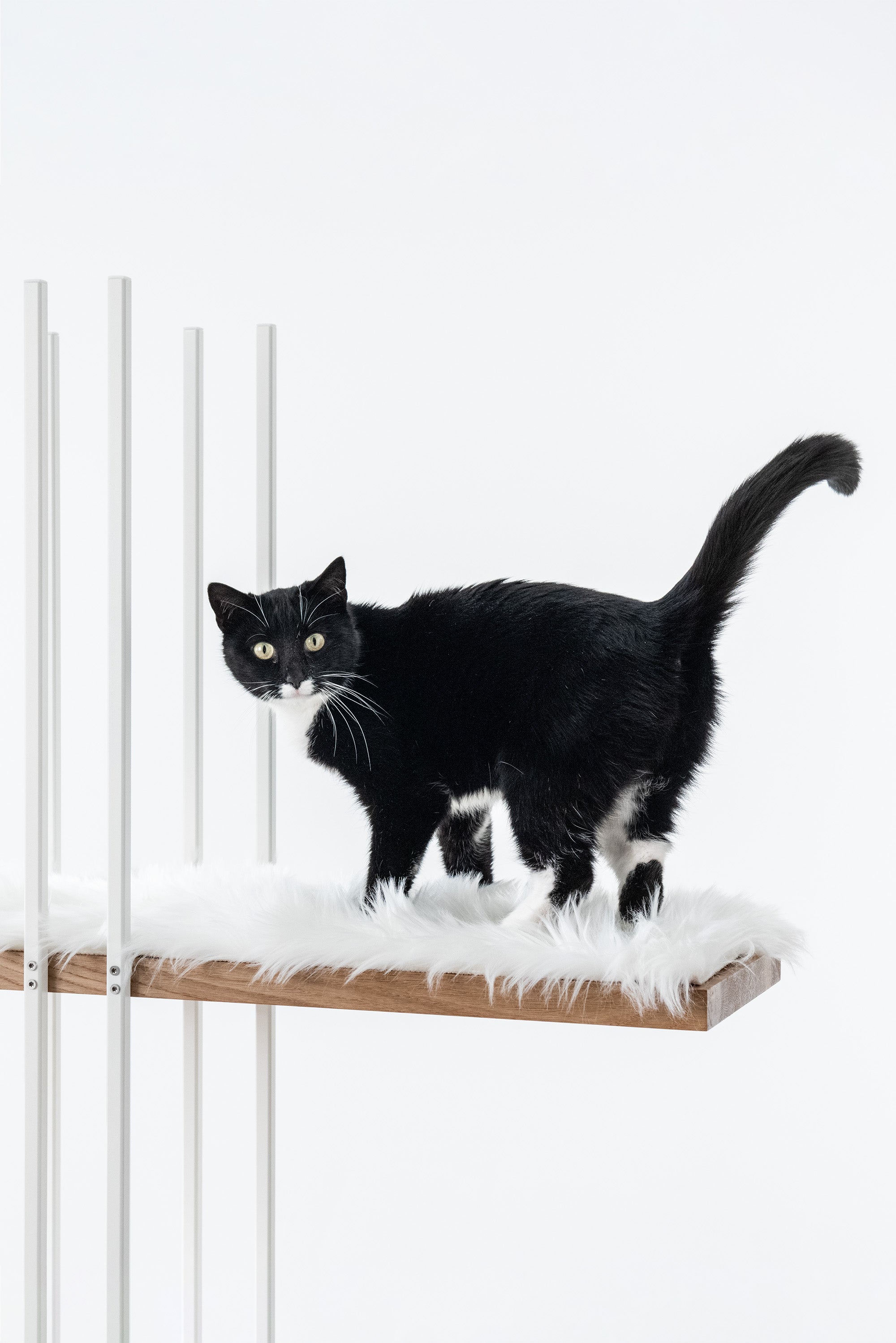 STYA Kissen für Katzen Kratzbaum MS220 | Weiß