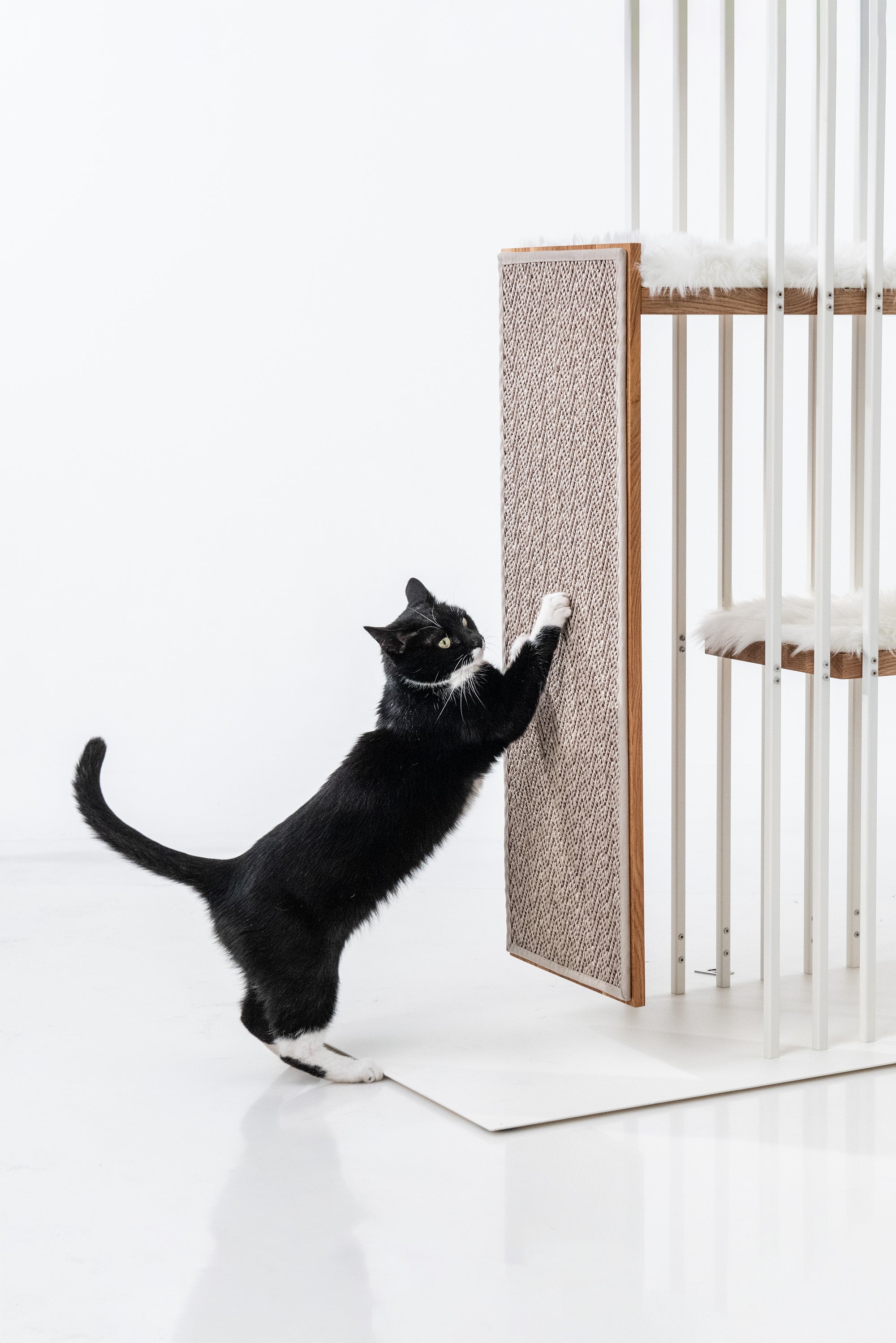 STYA Katzen Kratzbaum MS220 | Weiß