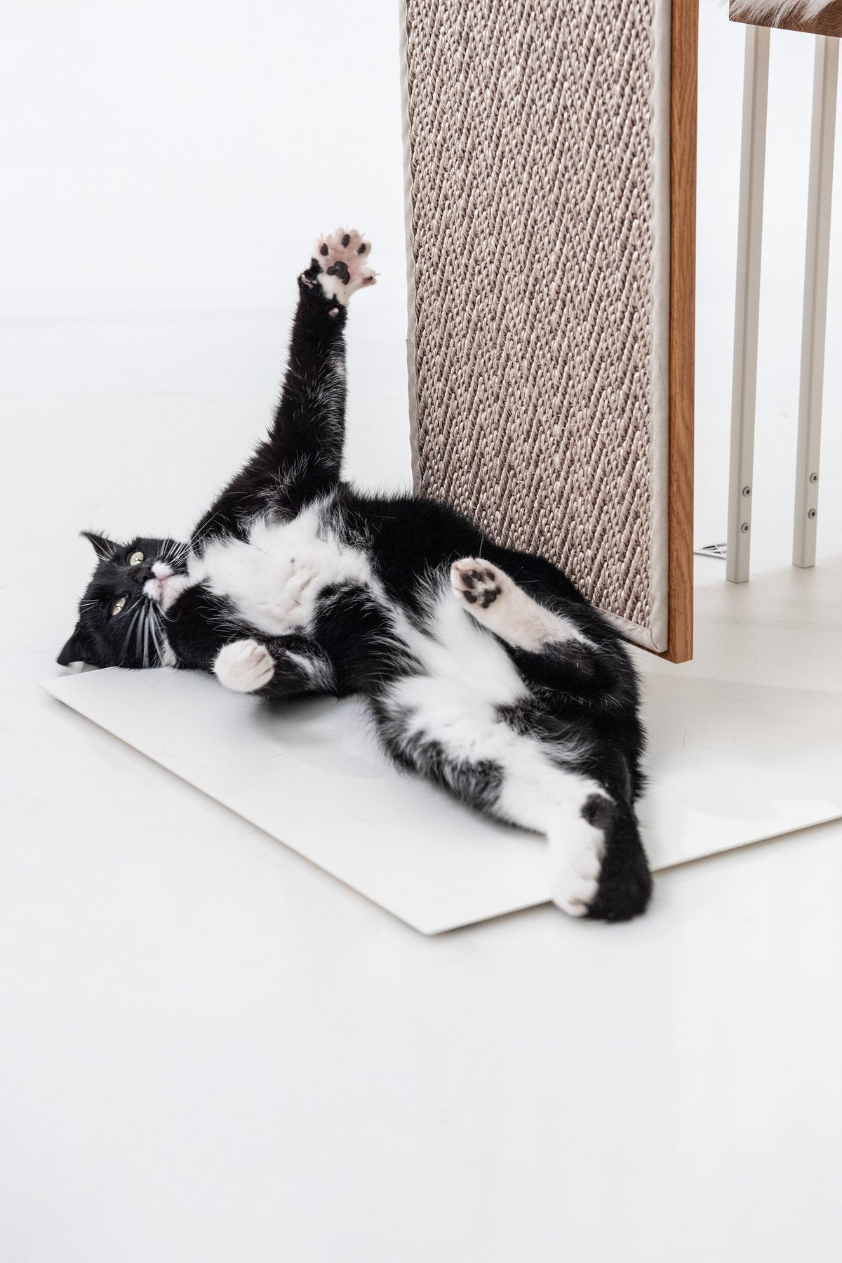 STYA Katzen Kratzbaum MS220 Weiß