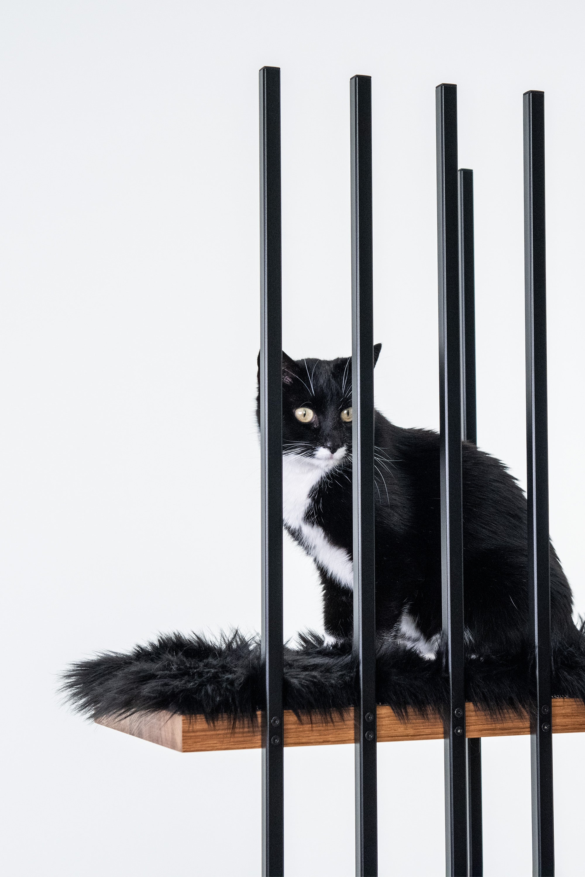 STYA Kissen für Katzen Kratzbaum MS220 | Schwarz