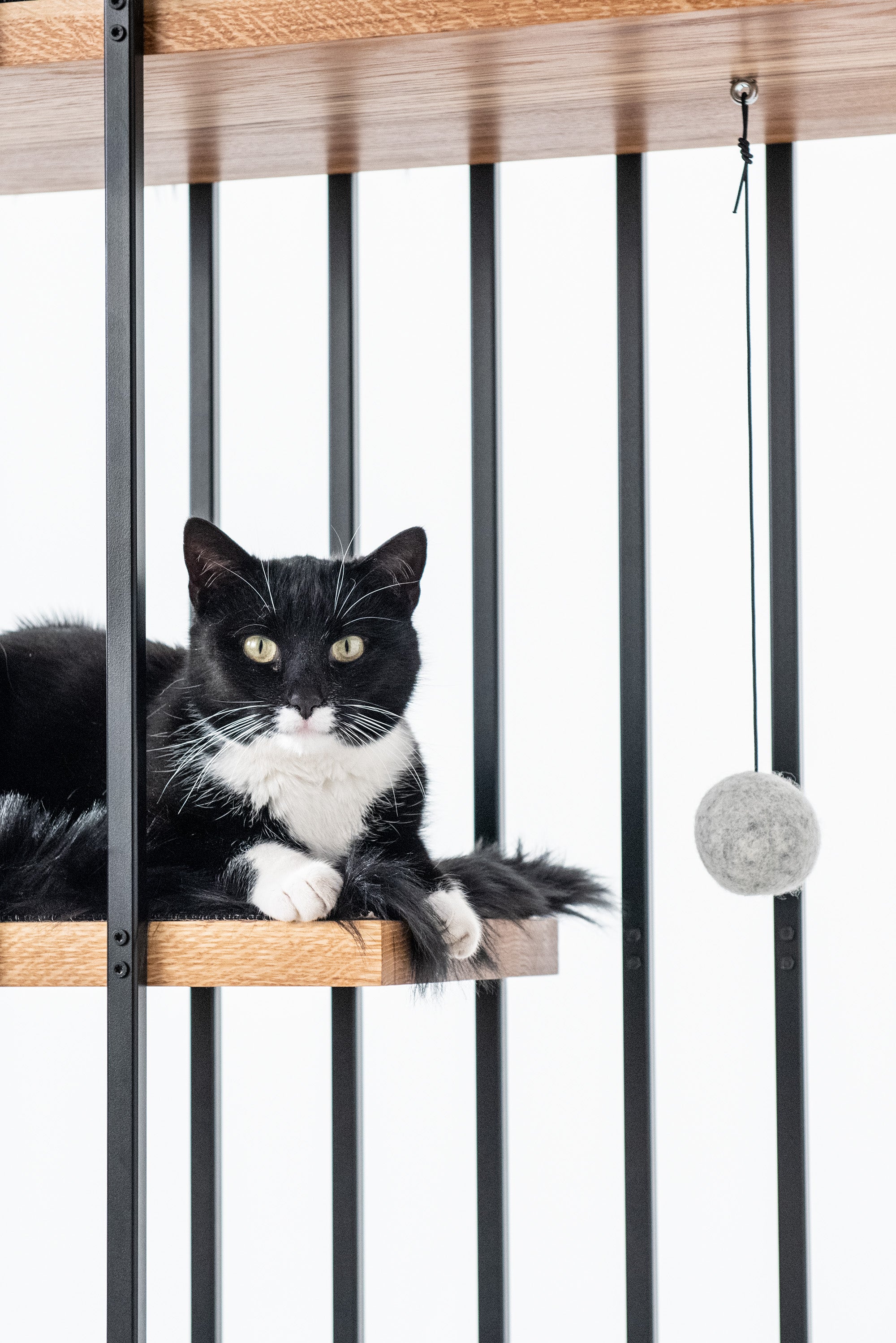 STYA Katzen Kratzbaum MS210 | Schwarz
