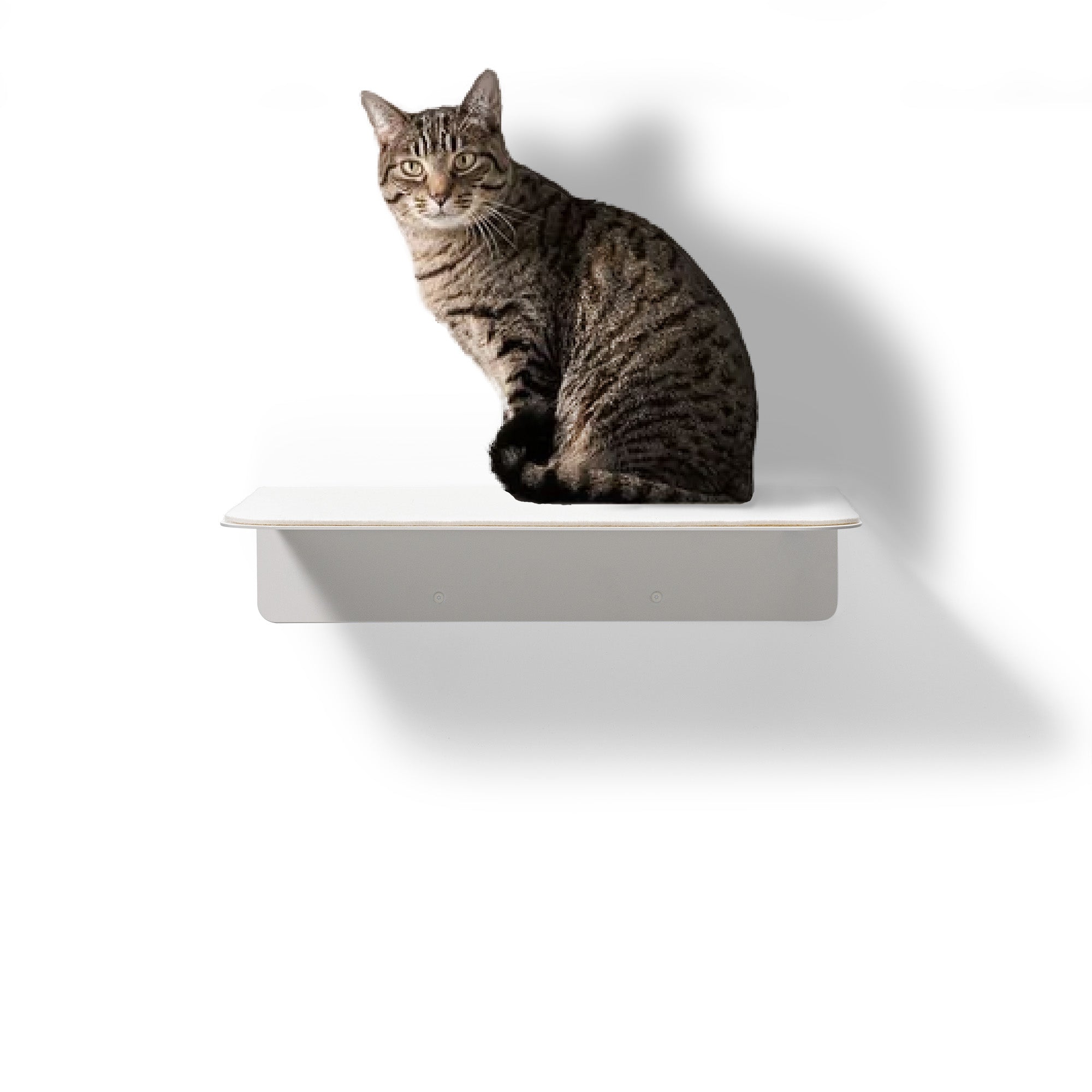 STYA Katzen Kletterwand | Wandliege WL350