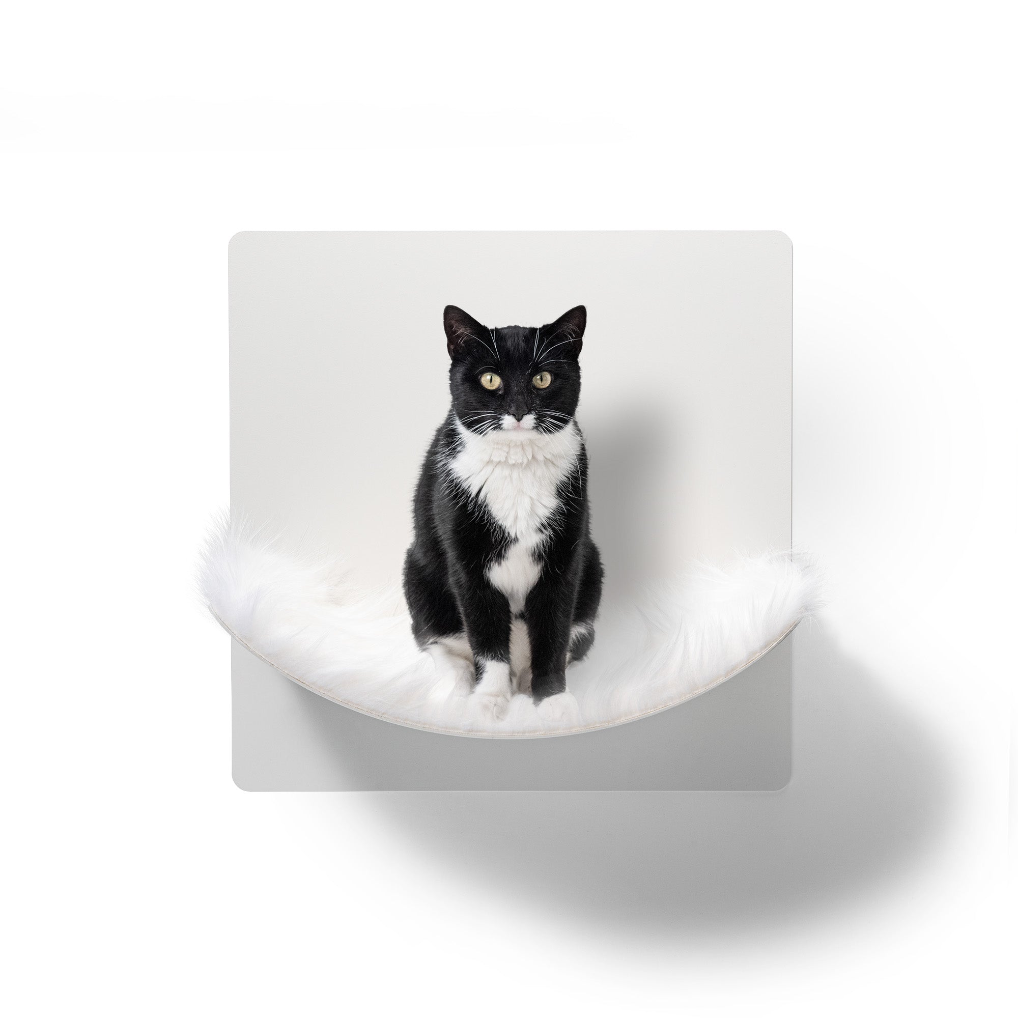 STYA Katzen Kletterwand | Hängematte WL310