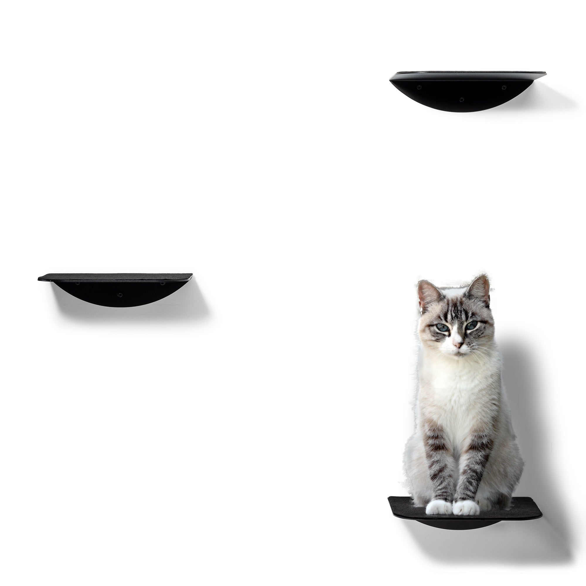 STYA Katzen Kletterwand | Katzen Treppe WL140 | Mit 3 Stufen