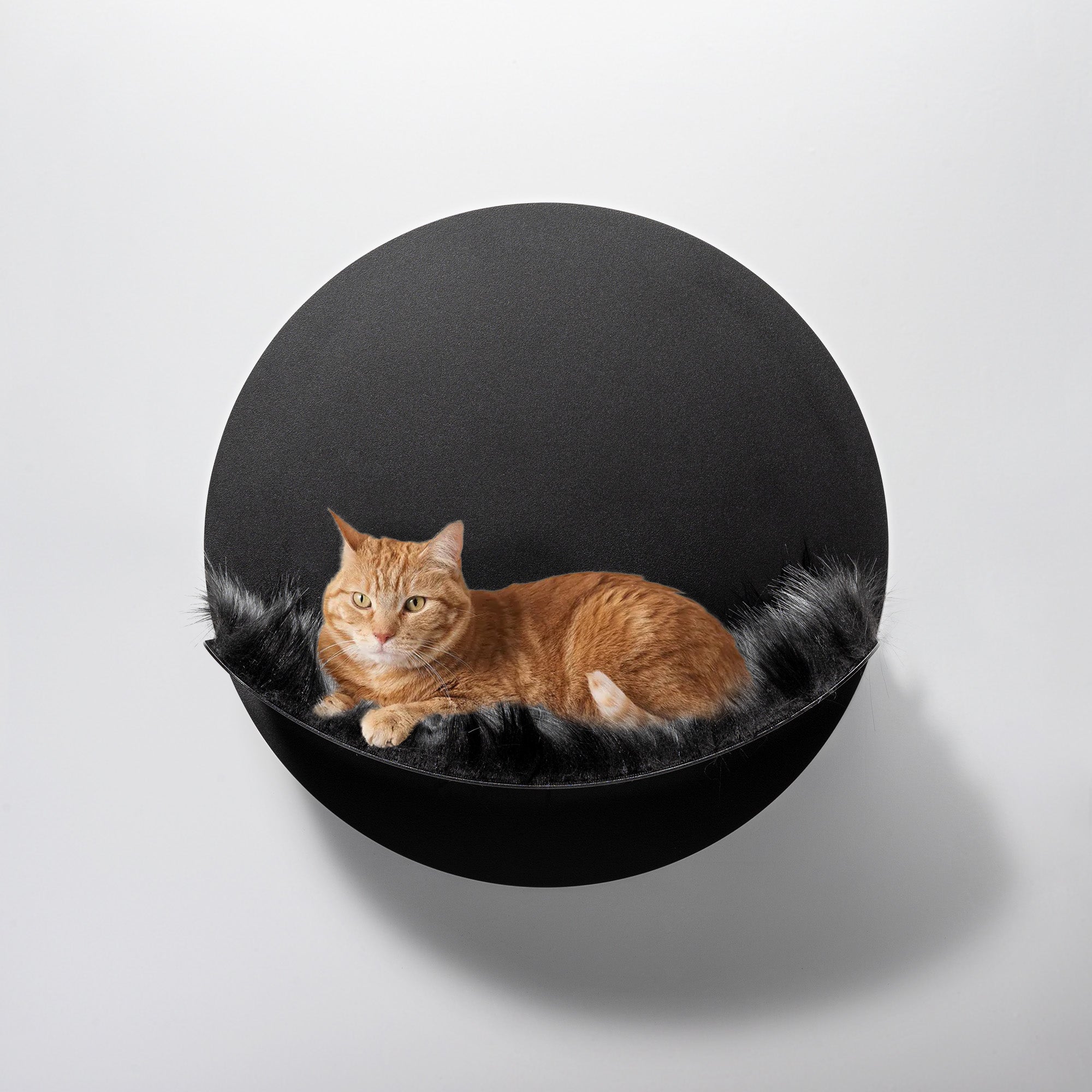 STYA Katzen Kletterwand | Hängematte WL110