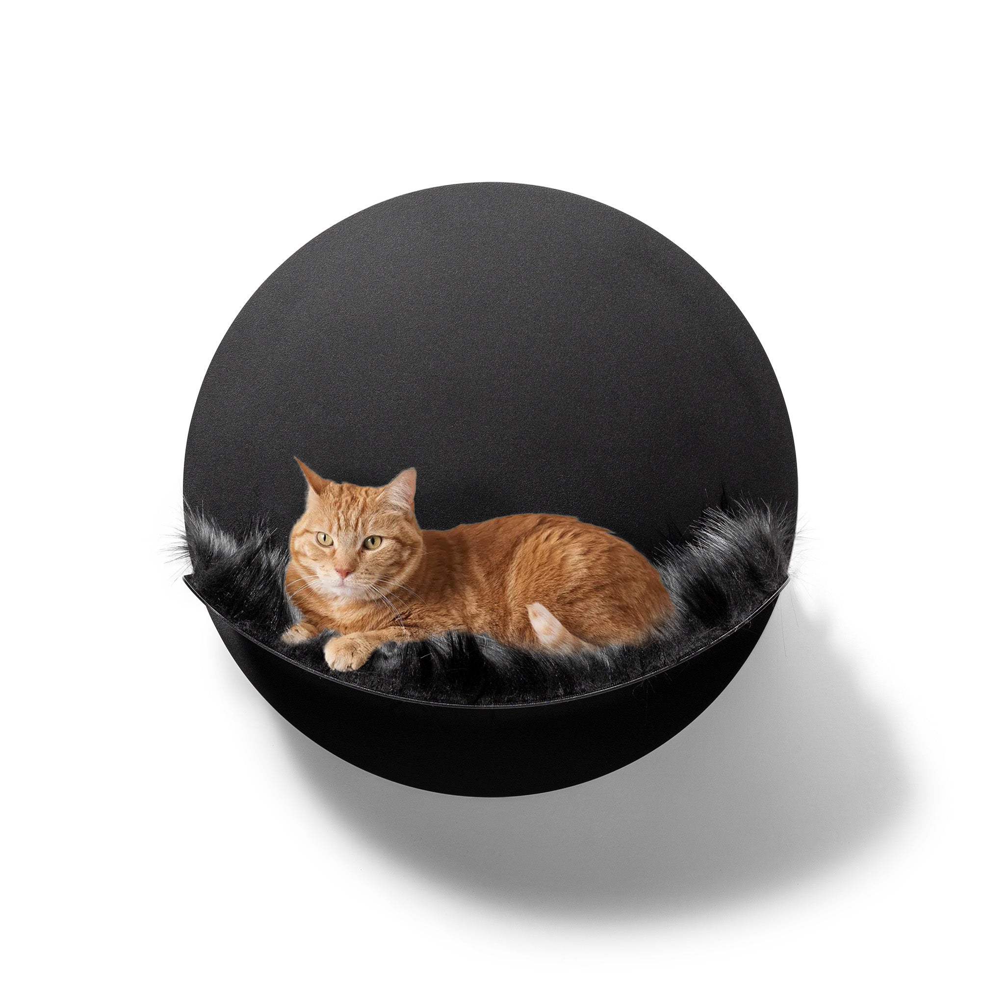 STYA Katzen Kletterwand | Hängematte WL110