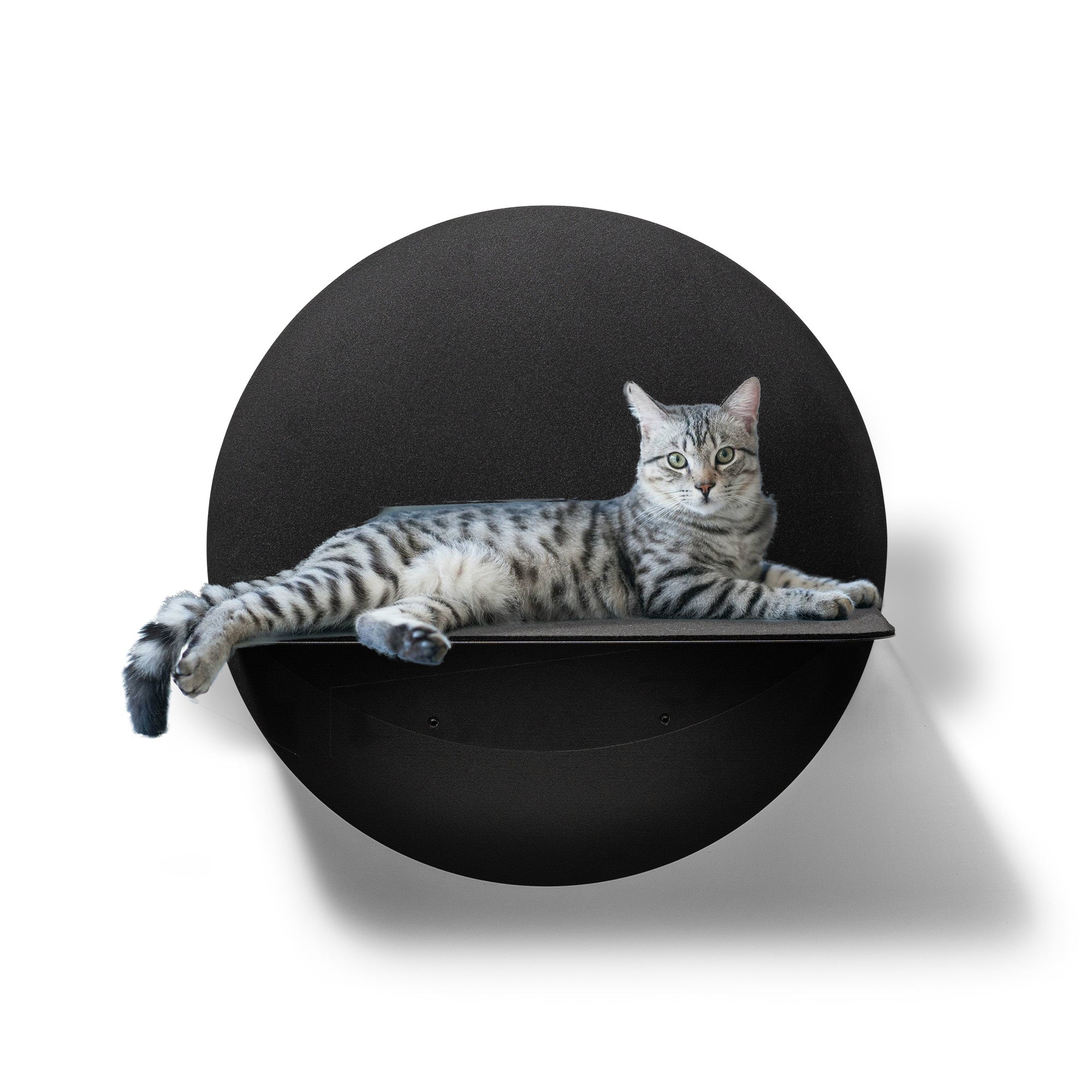 STYA Katzen Kletterwand | Wandliege WL120