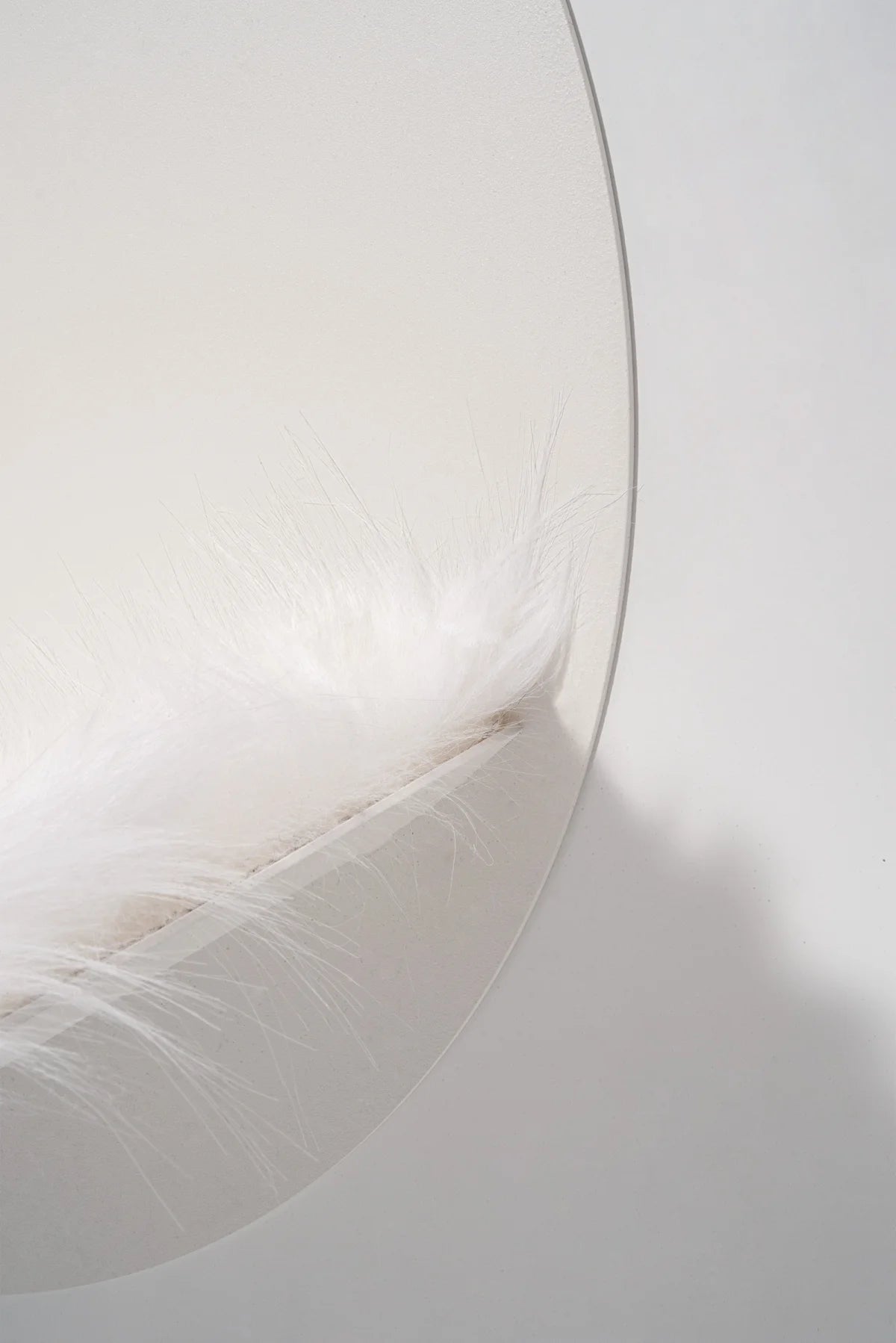 STYA Katzen Kletterwand | Set Galerie | Linie WL100