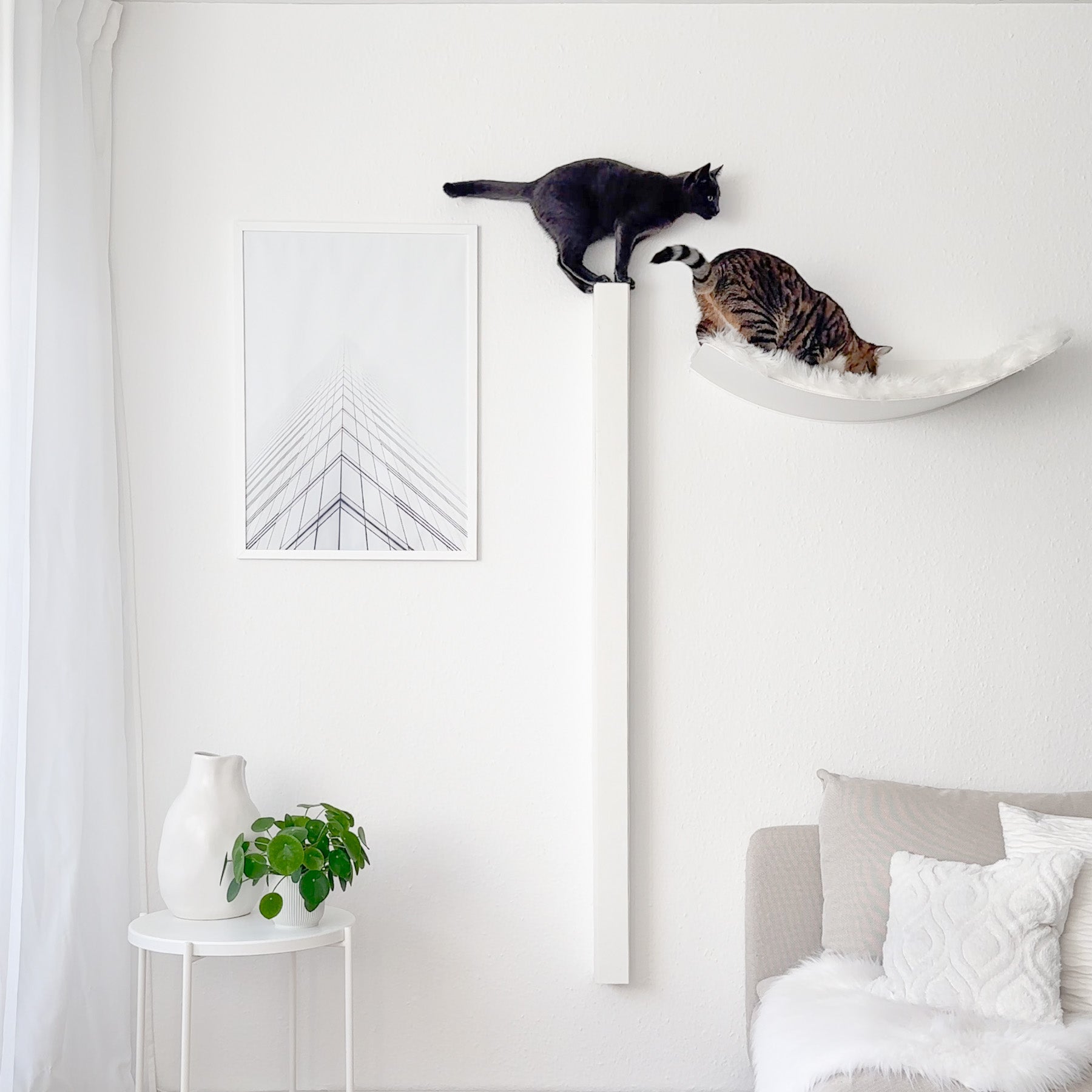 STYA Katzen Kletterwand | Set Essence | Kratzstamm KS150 + XXL Hängematte WL170