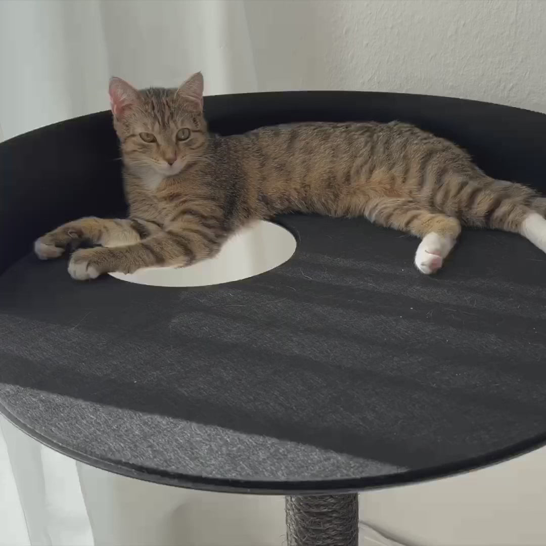 STYA Katzen Kratzbaum MS510 | Schwarz