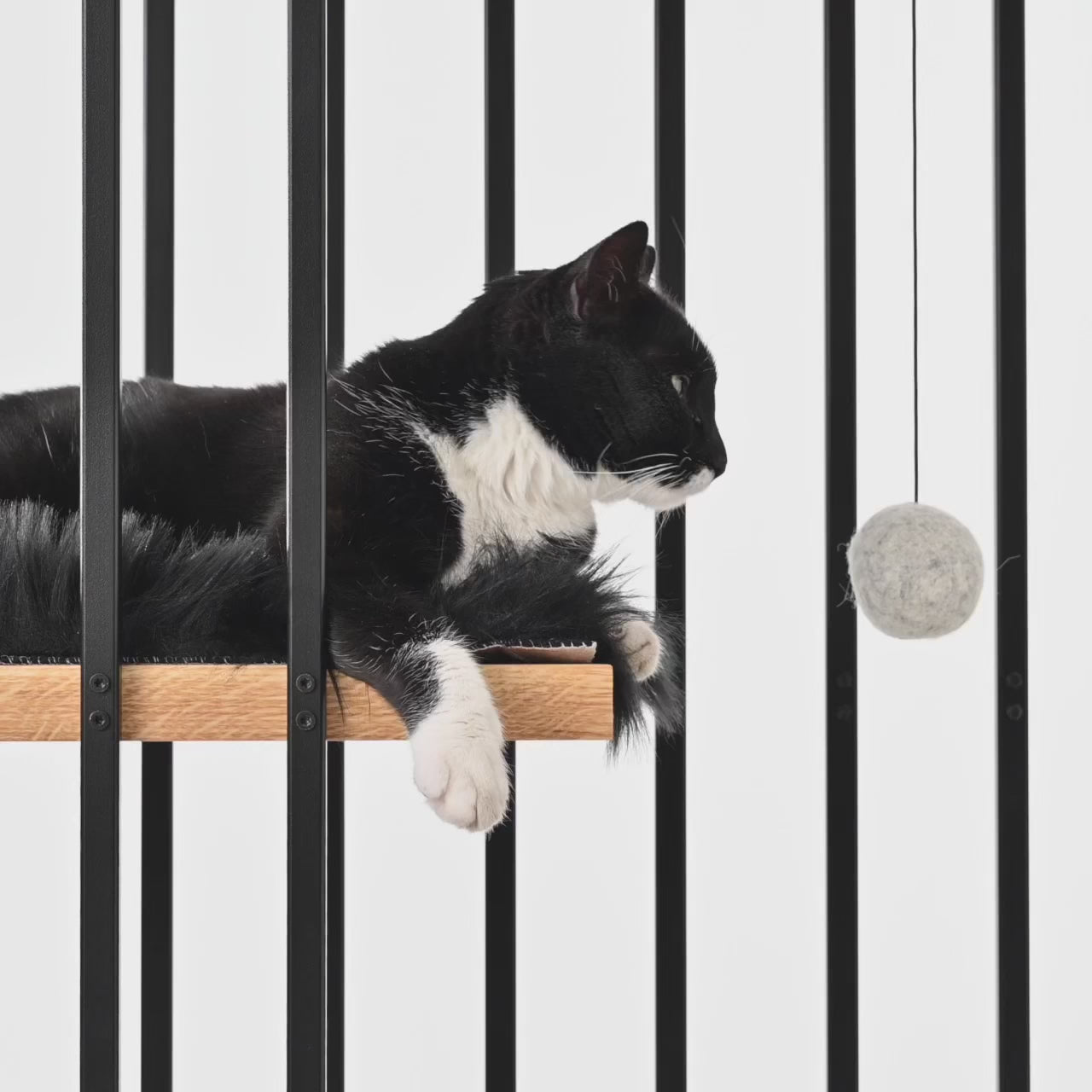 STYA Katzen Spielzeug SN4 | Schwarz