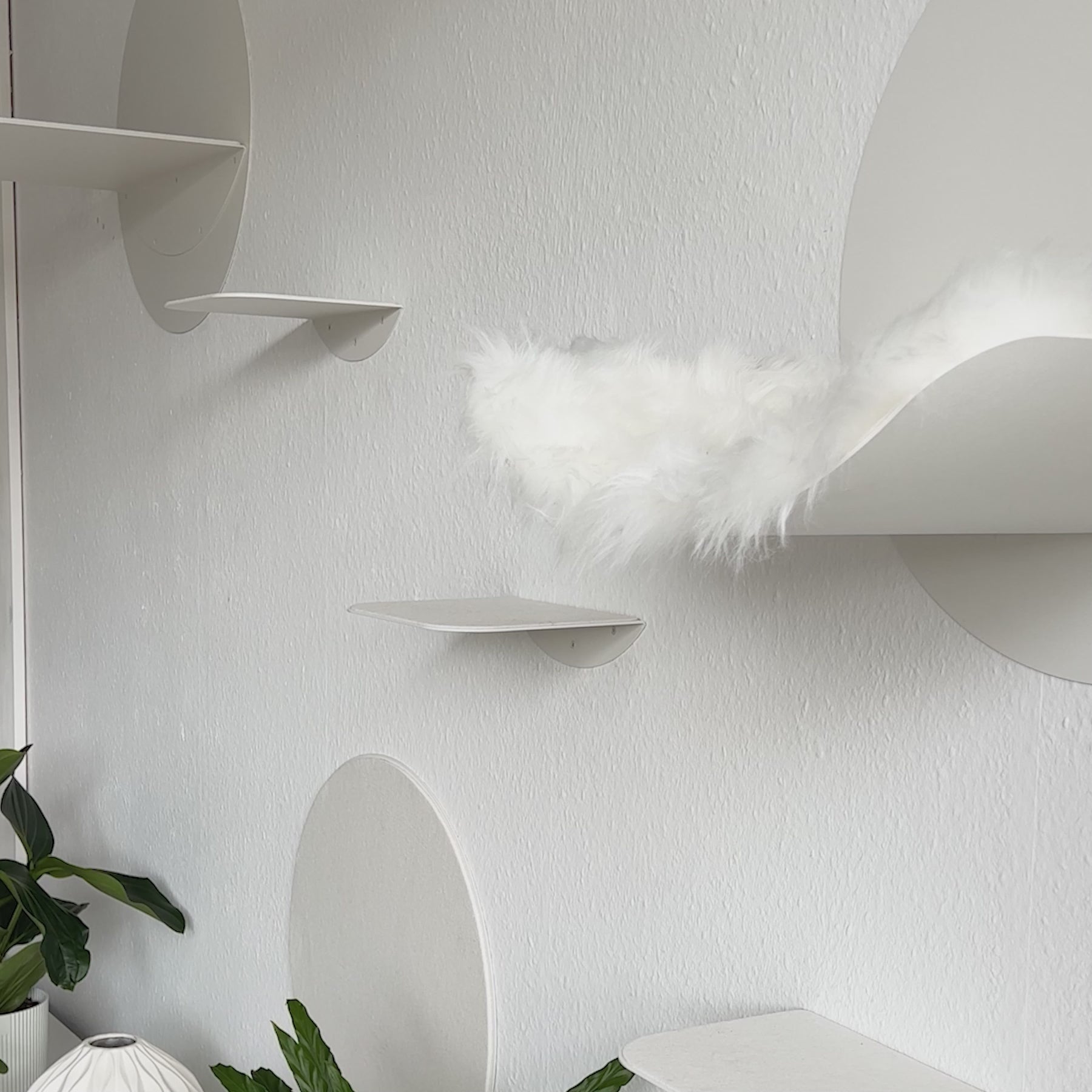 STYA Katzen Kletterwand | Set Galerie | Linie WL100