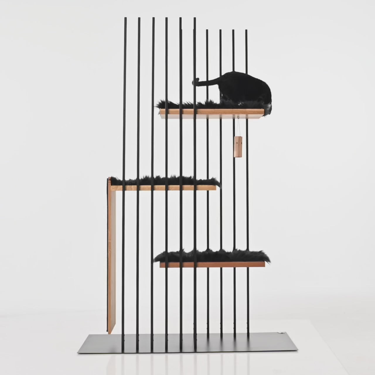 STYA Katzen Spielzeug SN5 | Schwarz