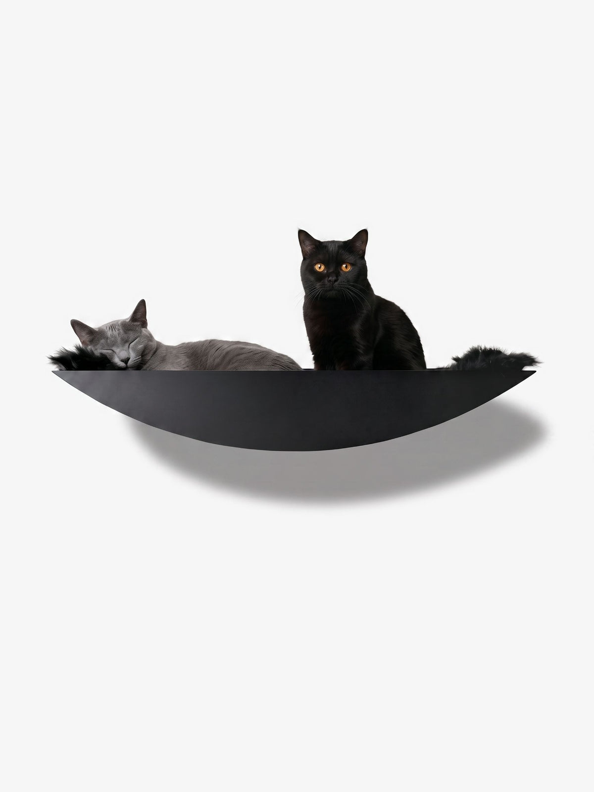 [KI-KATZE]