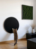 STYA Cat Climbing Wall | Scratching Board KF130