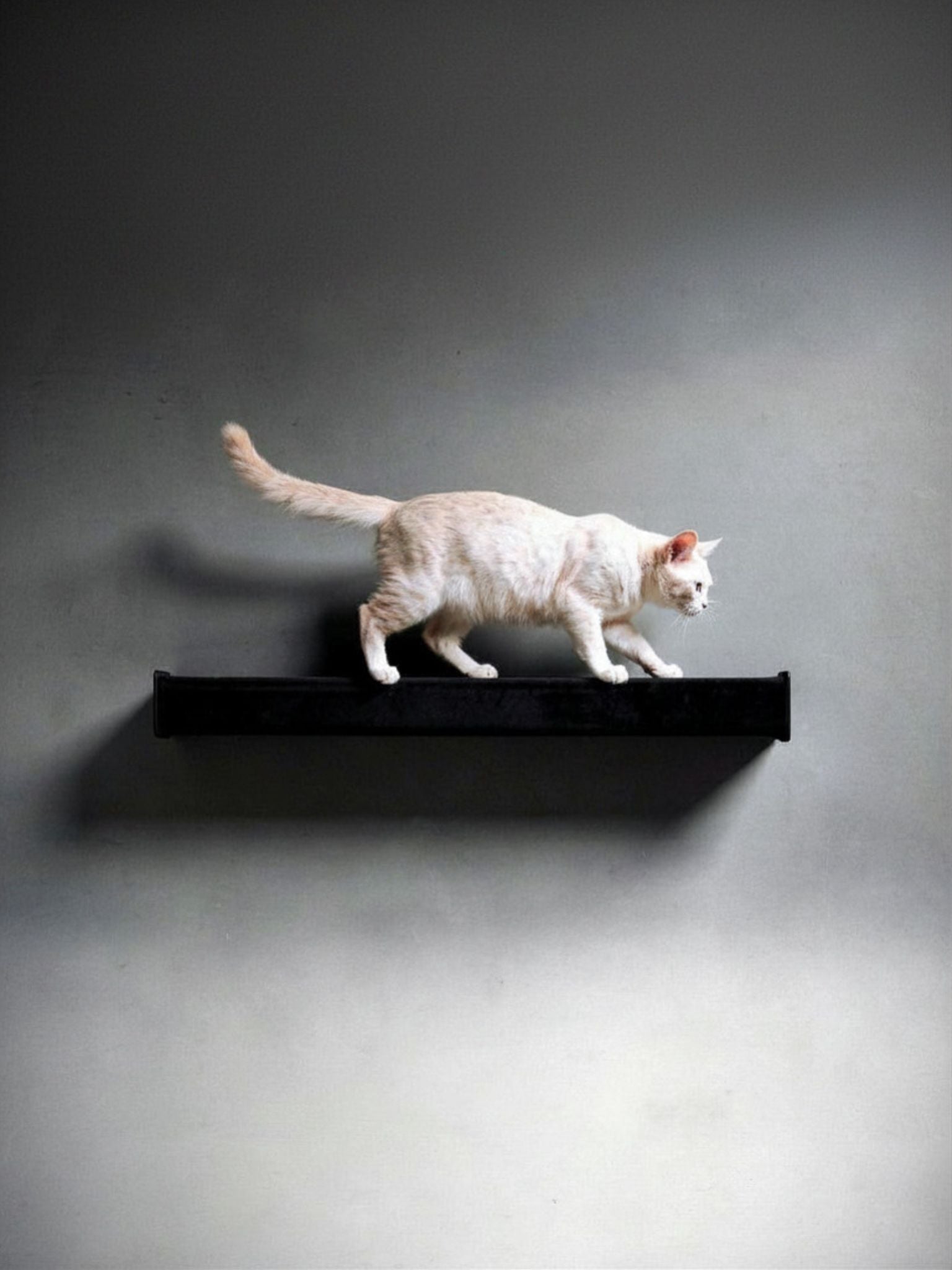 STYA Katzen Kratzstamm KS100 | 100 cm