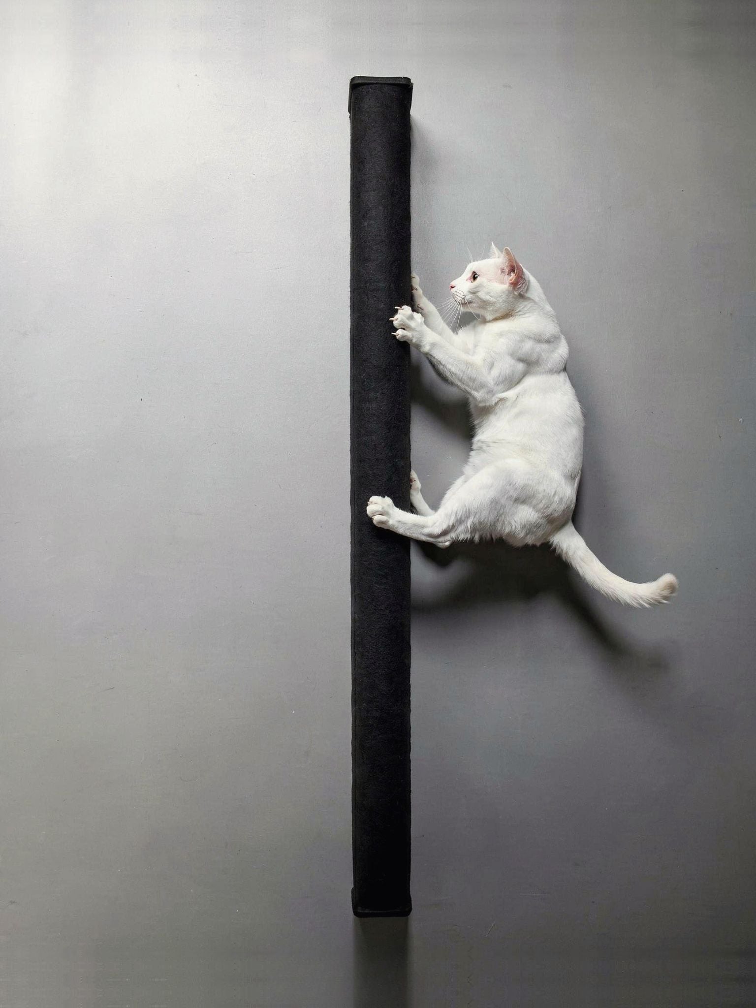 STYA Katzen Kratzstamm KS150 | 150 cm