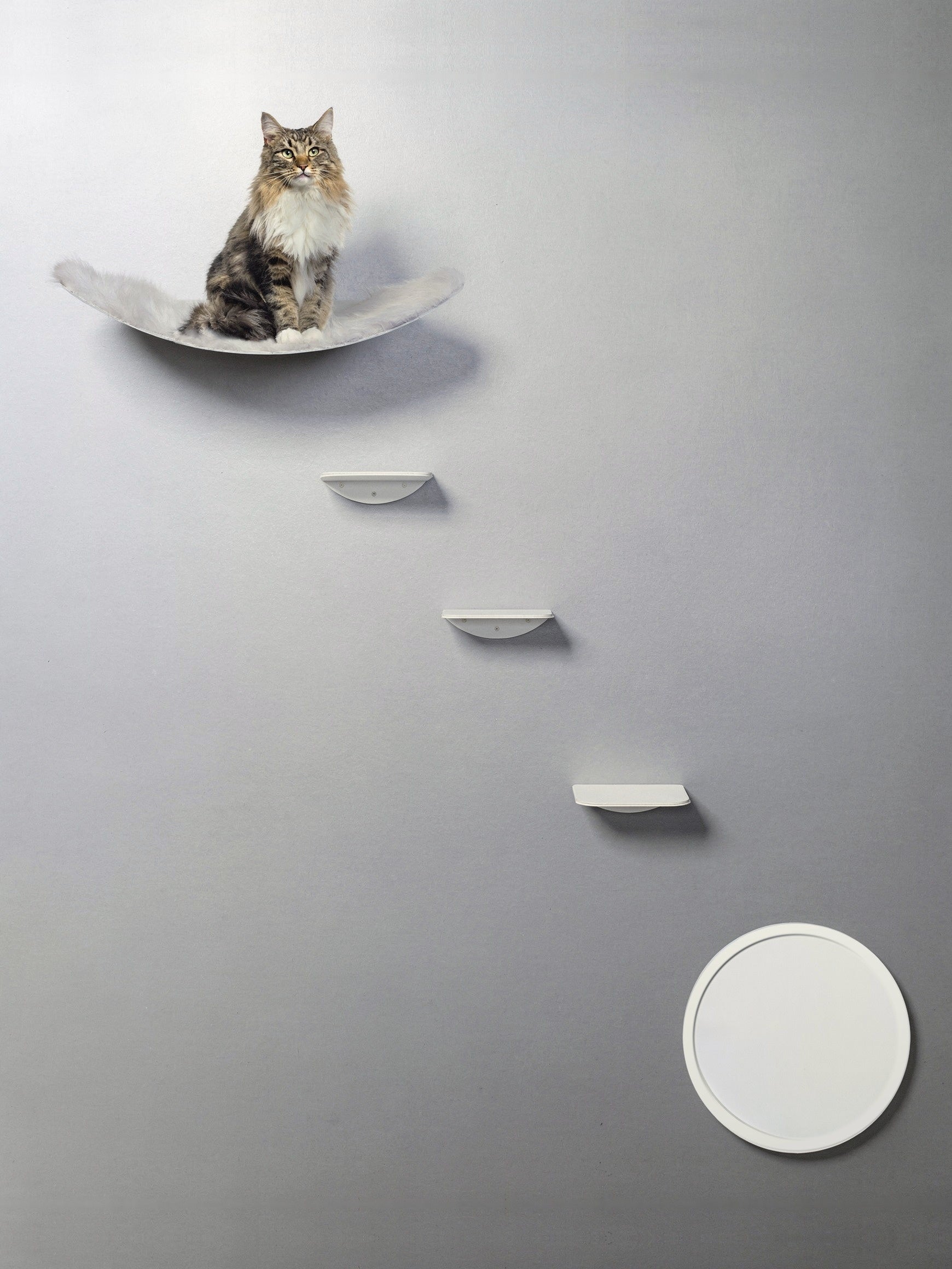 STYA Katzen Kletterwand | Set Eleganz Hängematte XXL | Linie WL100