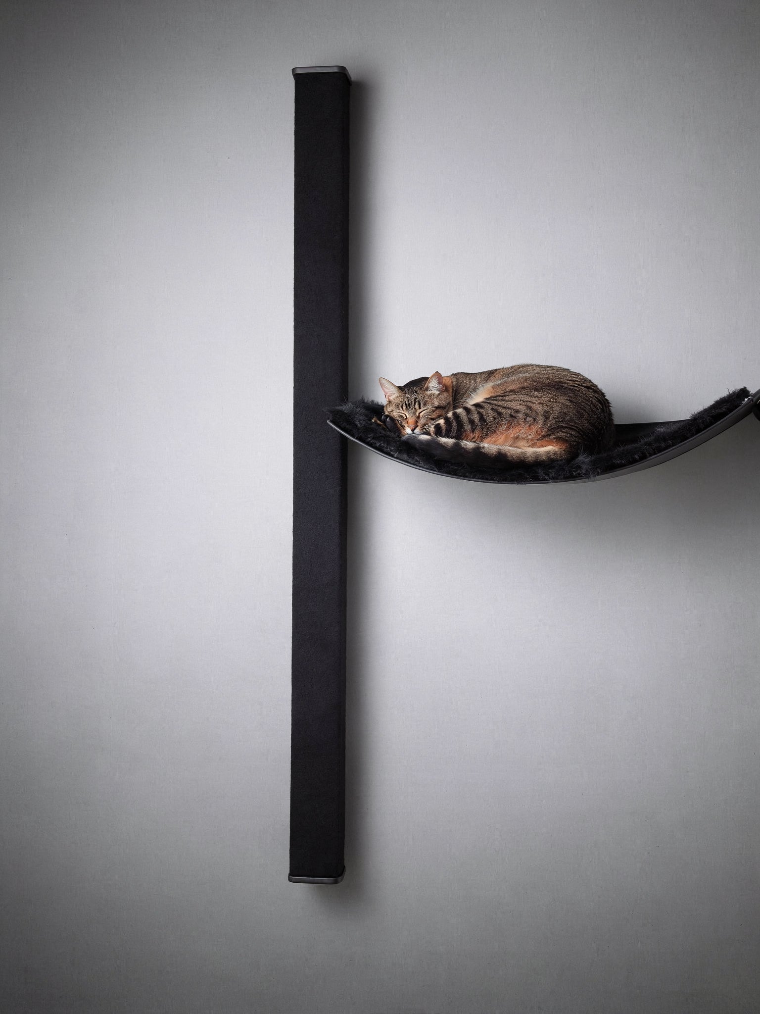 STYA Katzen Kletterwand | Set Essence | Kratzstamm KS150 + XXL Hängematte WL170