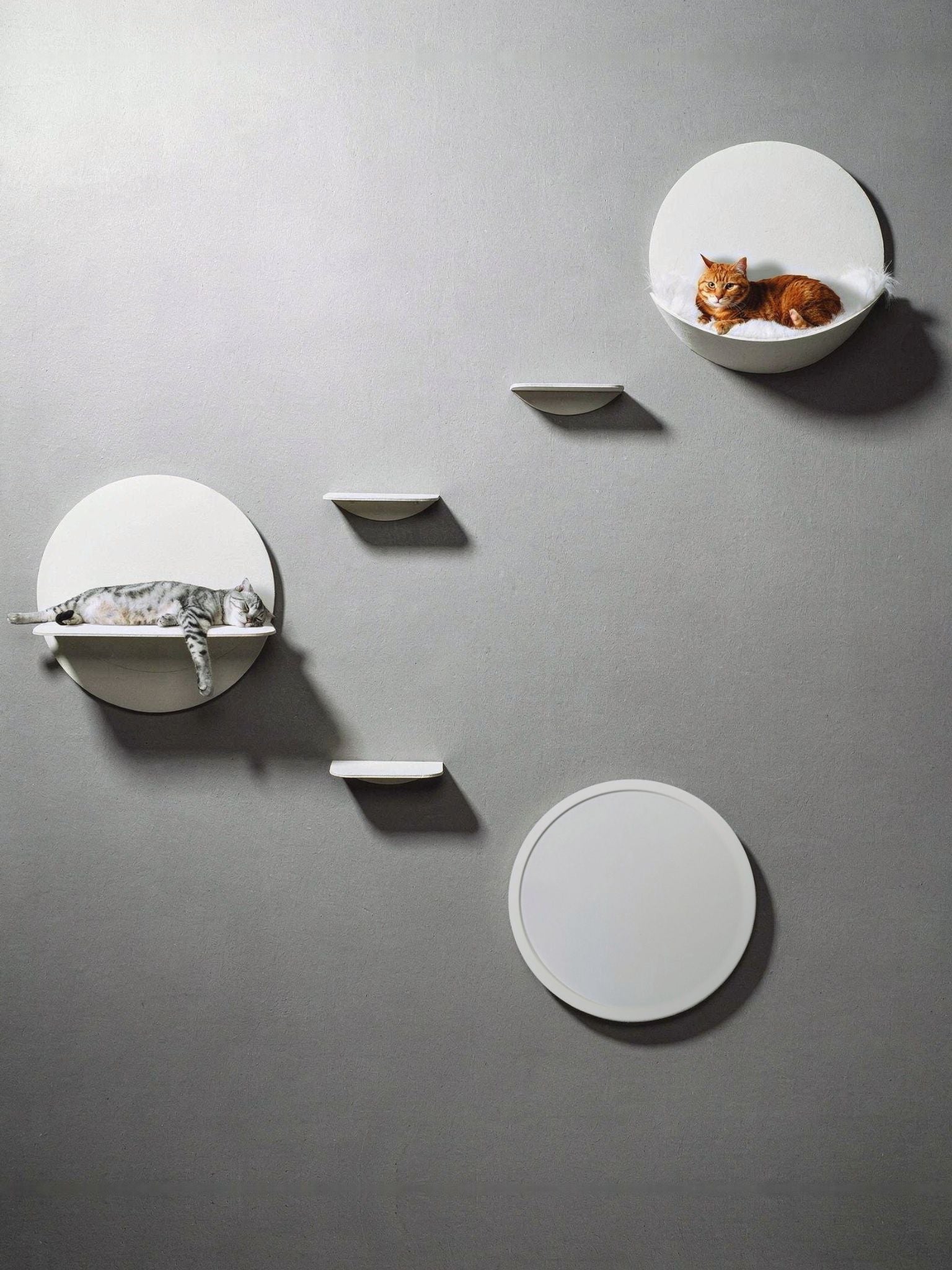 STYA Katzen Kletterwand | Set Galerie | Linie WL100