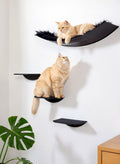 STYA Cat Climbing Wall | Minimalist Hammock Set XXL | Line WL100