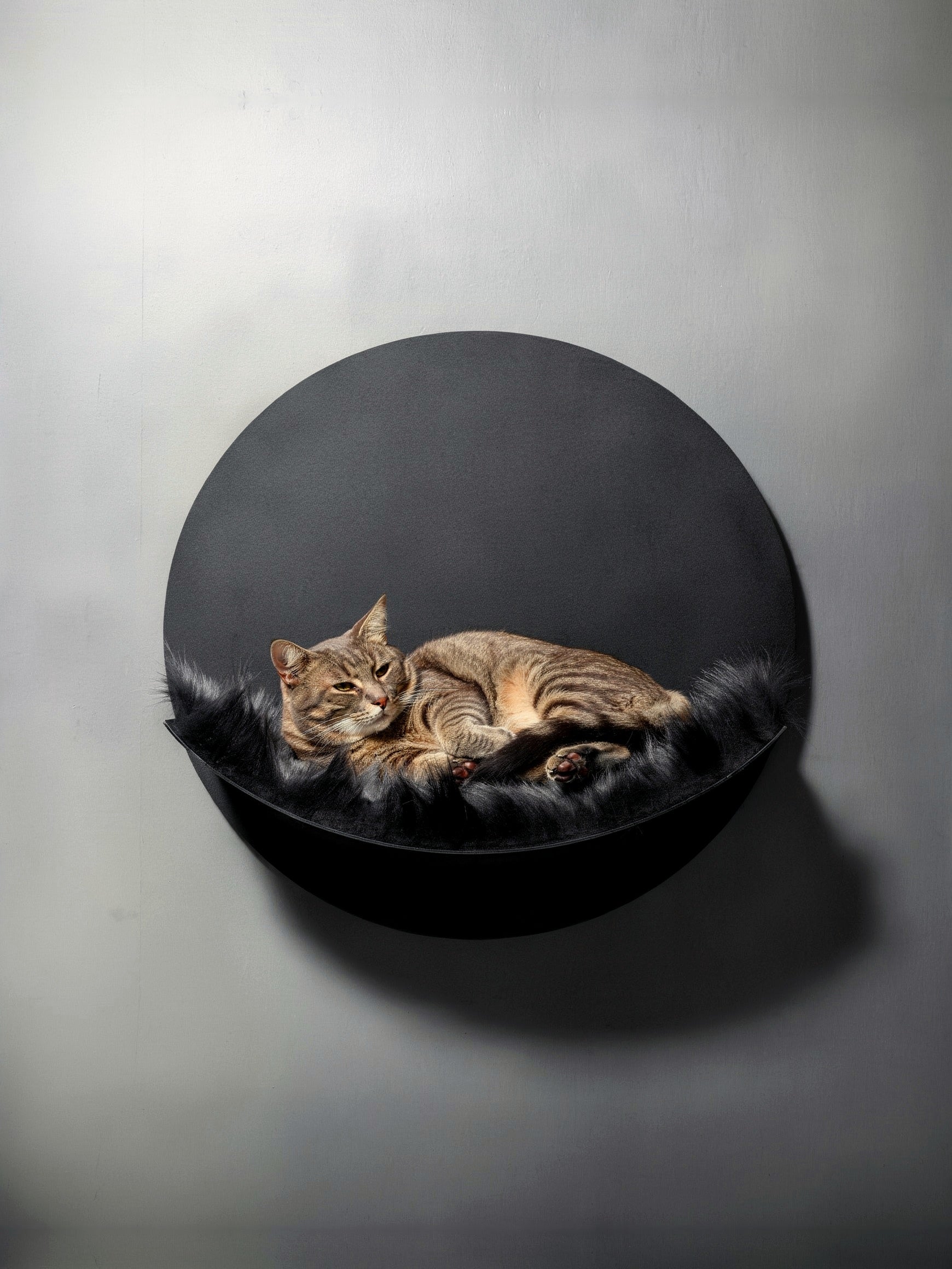 STYA Katzen Kletterwand | Hängematte WL110