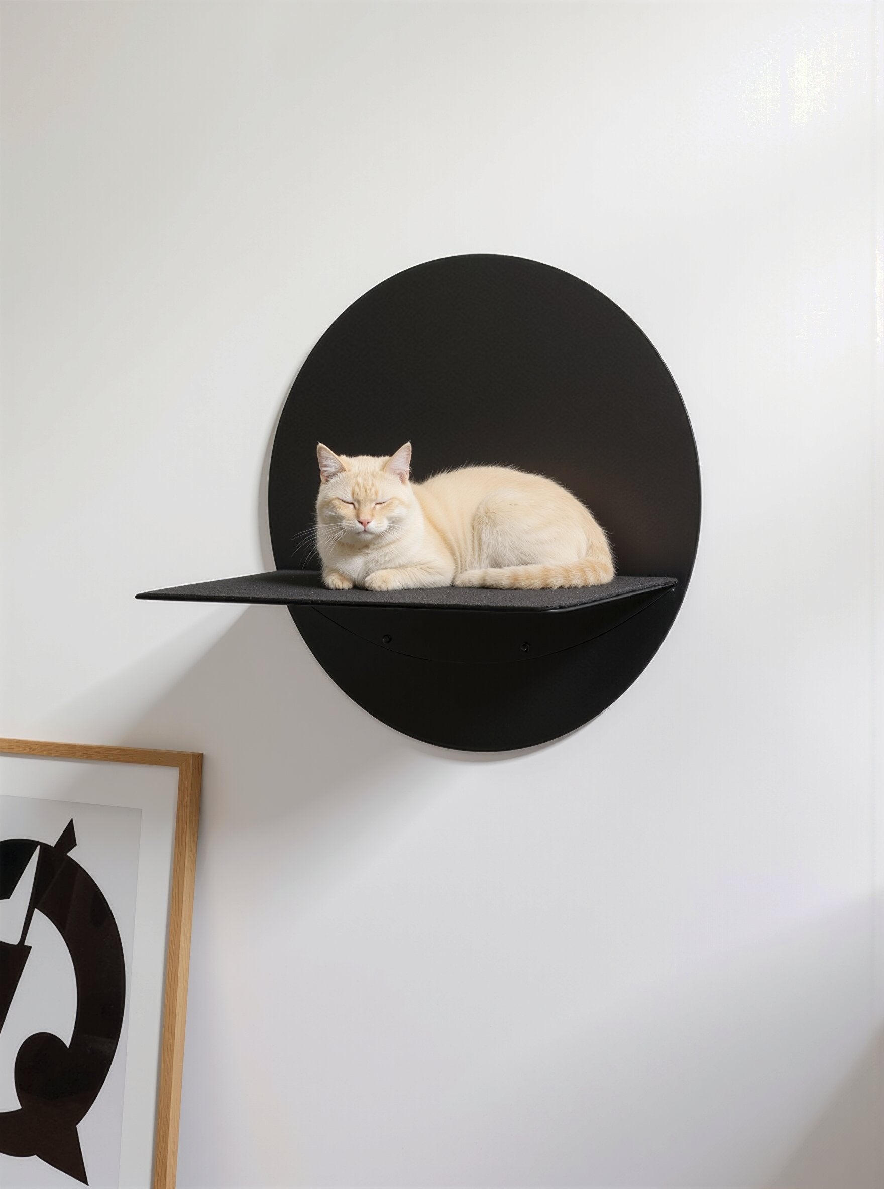 STYA Cat Climbing Wall | Wall Perch WL120