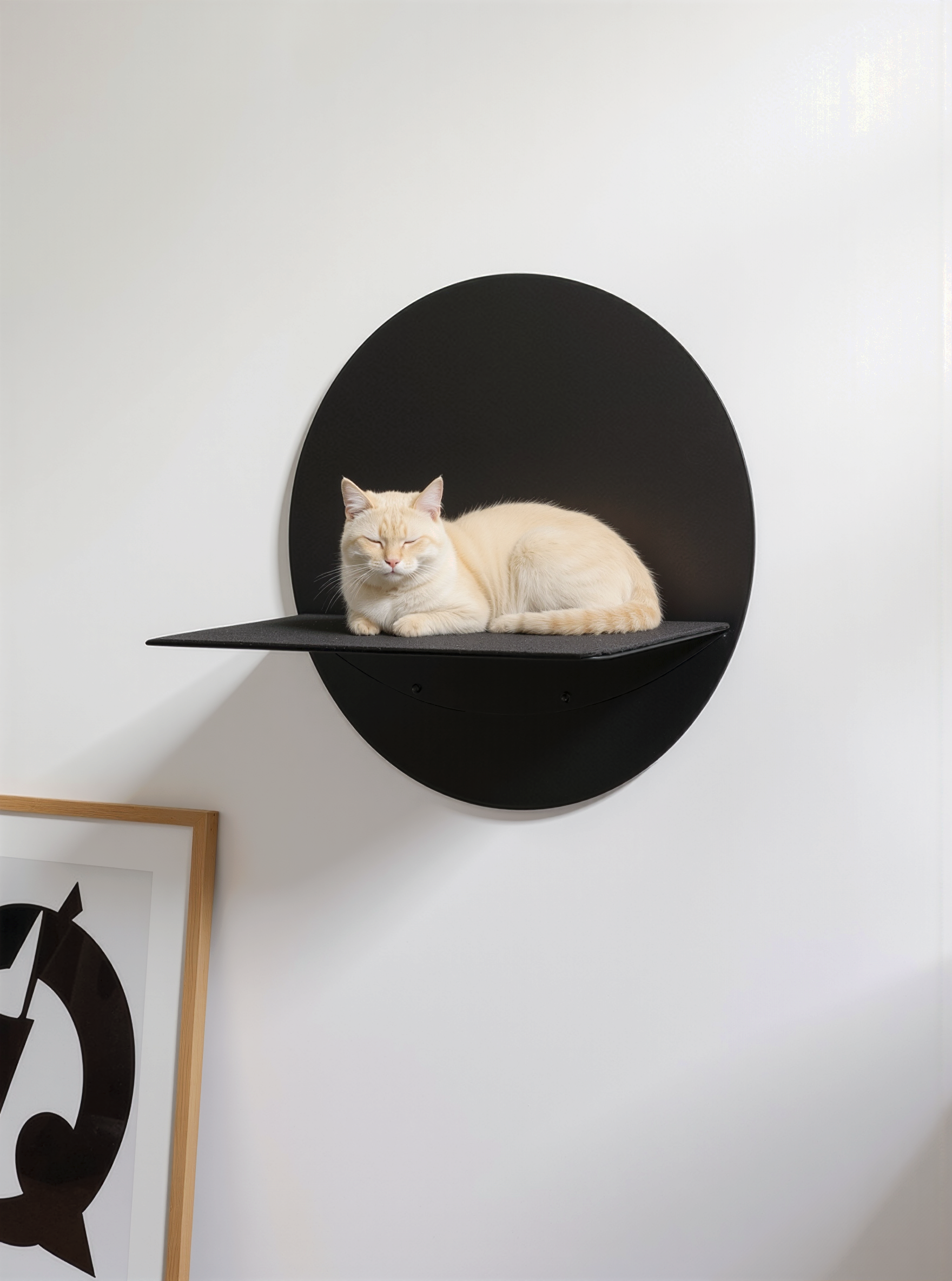 STYA Katzen Kletterwand | Wandliege WL120