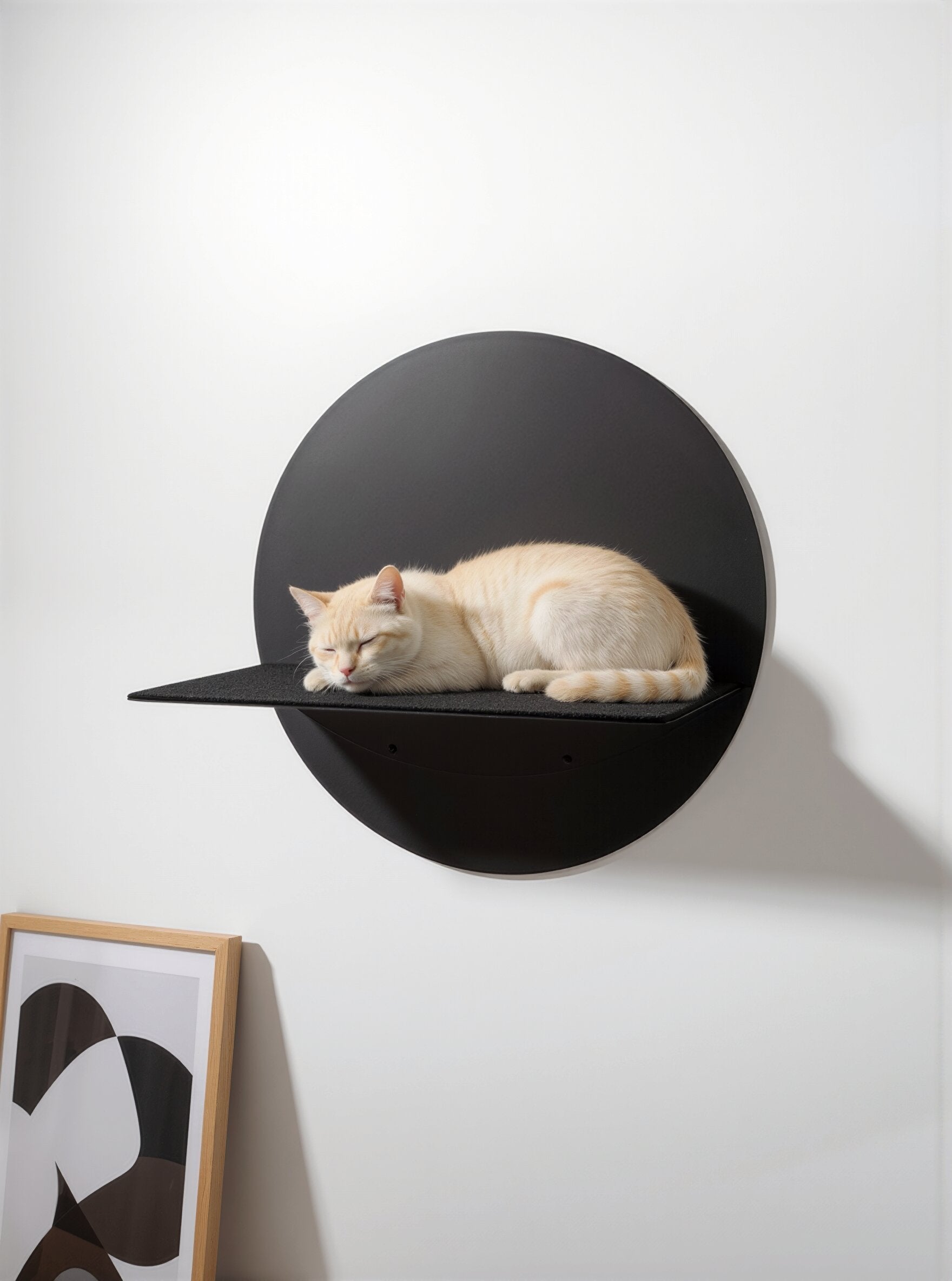 STYA Cat Climbing Wall | Wall Perch WL120