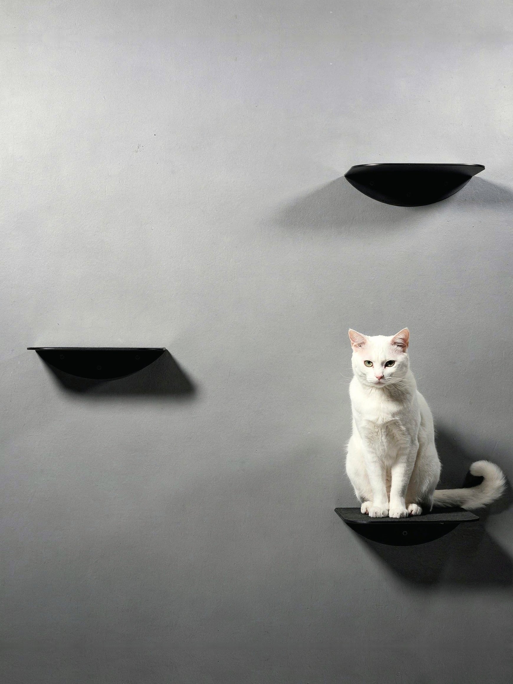STYA Katzen Kletterwand | Katzen Treppe WL140 | Mit 3 Stufen