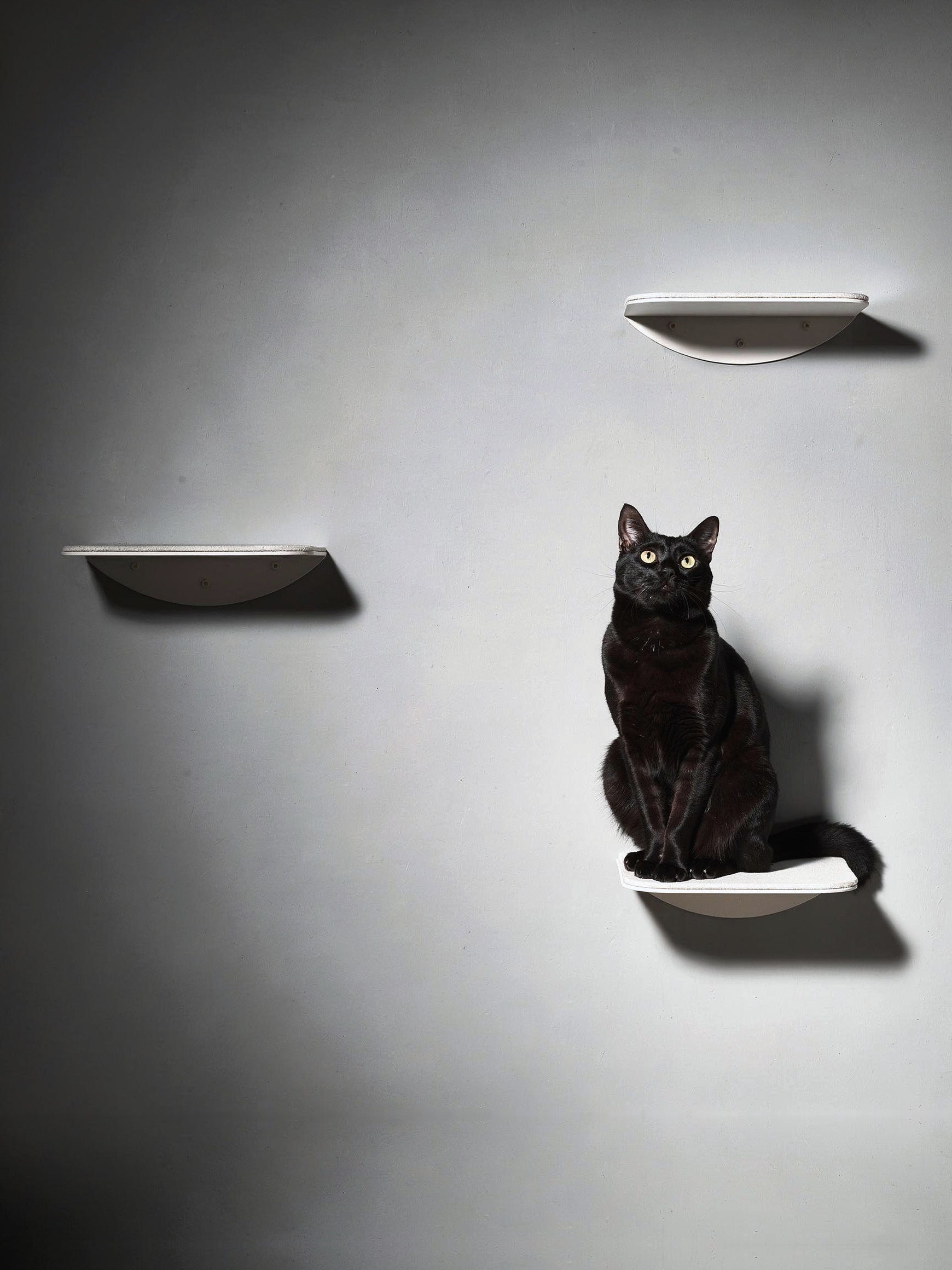 STYA Katzen Kletterwand | Katzen Treppe WL140 | Mit 3 Stufen