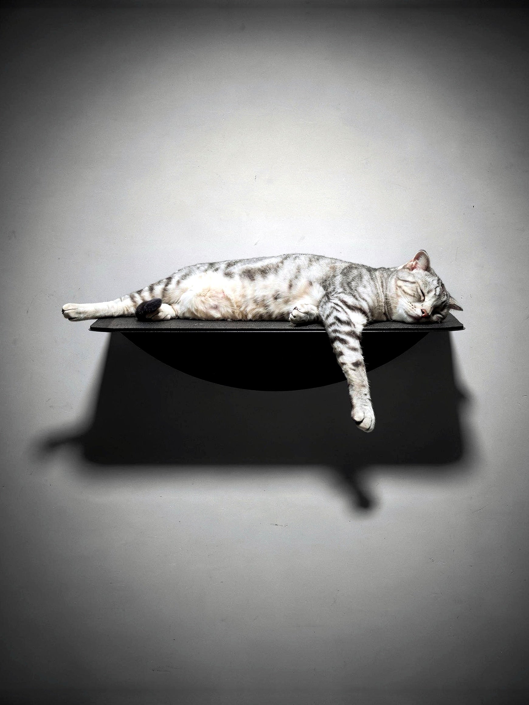 STYA Katzen Kletterwand | Wandliege WL150