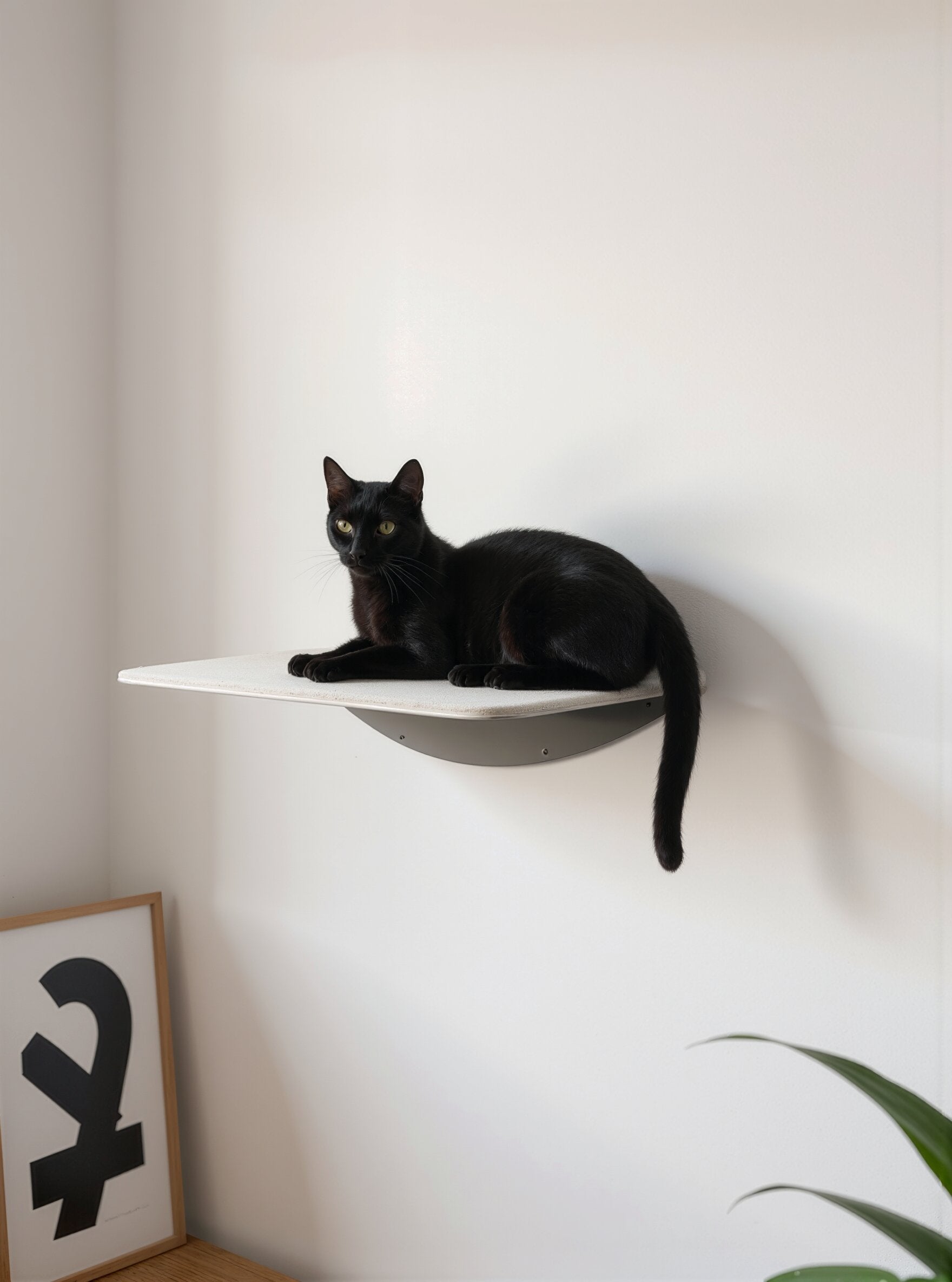 STYA Cat Climbing Wall | Wall-Mounted Perch WL150