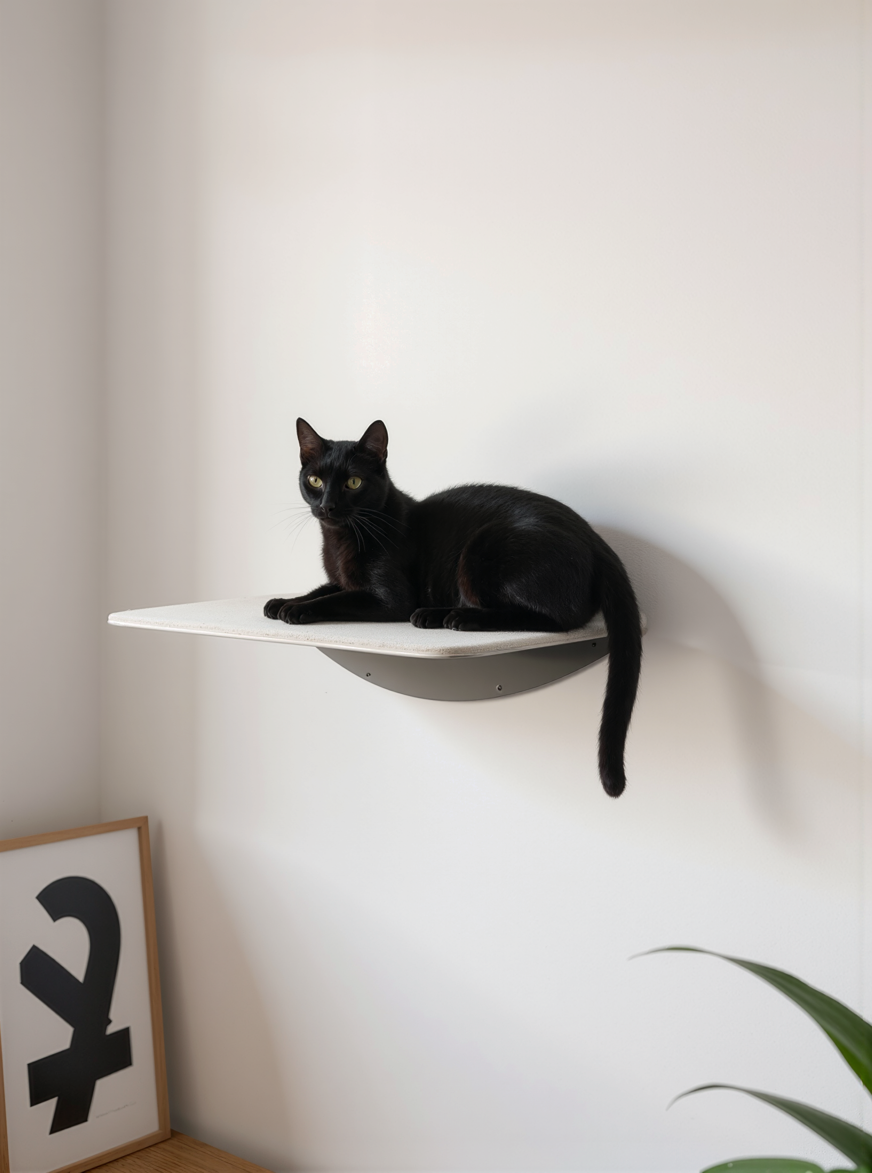 STYA Katzen Kletterwand | Wandliege WL150