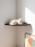 STYA Cat Climbing Wall | Corner Perch WL160