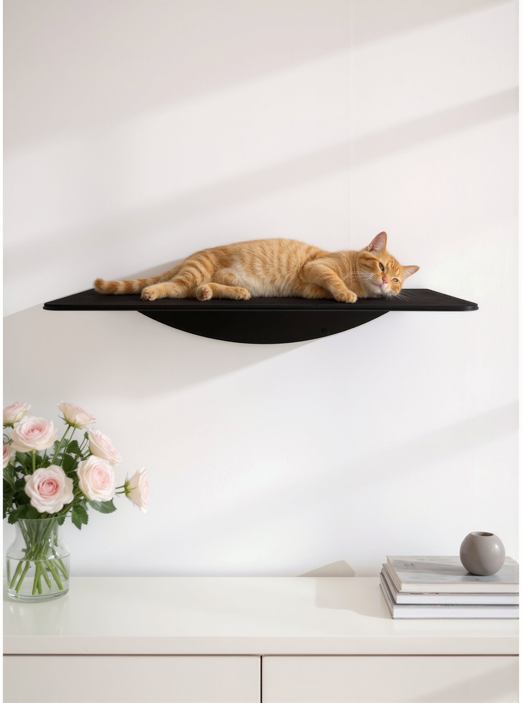 STYA Cat Climbing Wall | XXL Wall Perch WL180