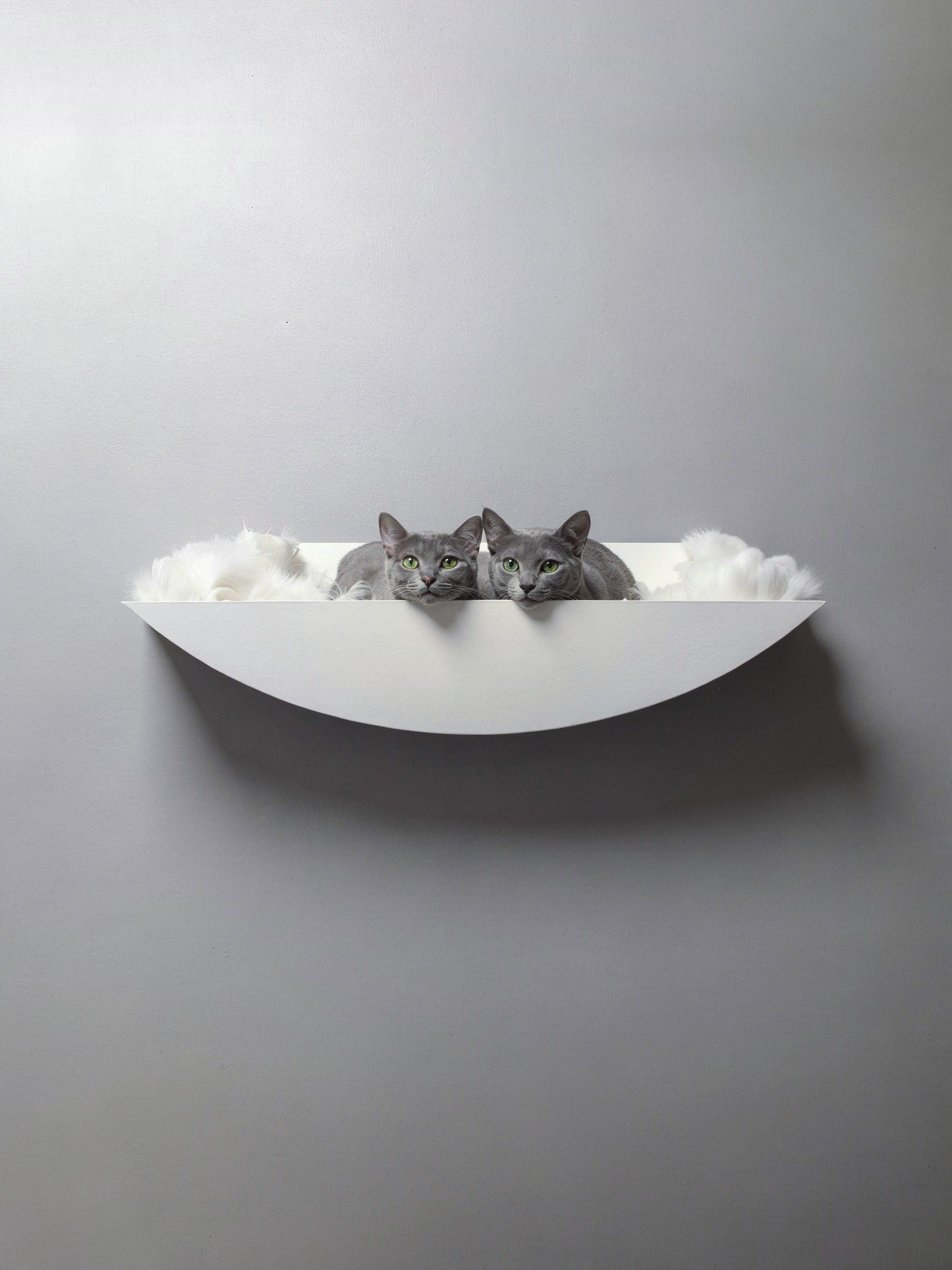 STYA Katzen Kletterwand | XXL Hängematte & Nest WL190