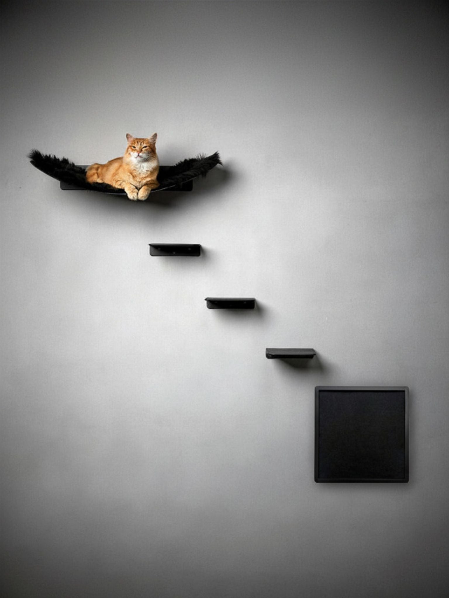 STYA Katzen Kletterwand | Set Eleganz Hängematte XXL | Linie WL300