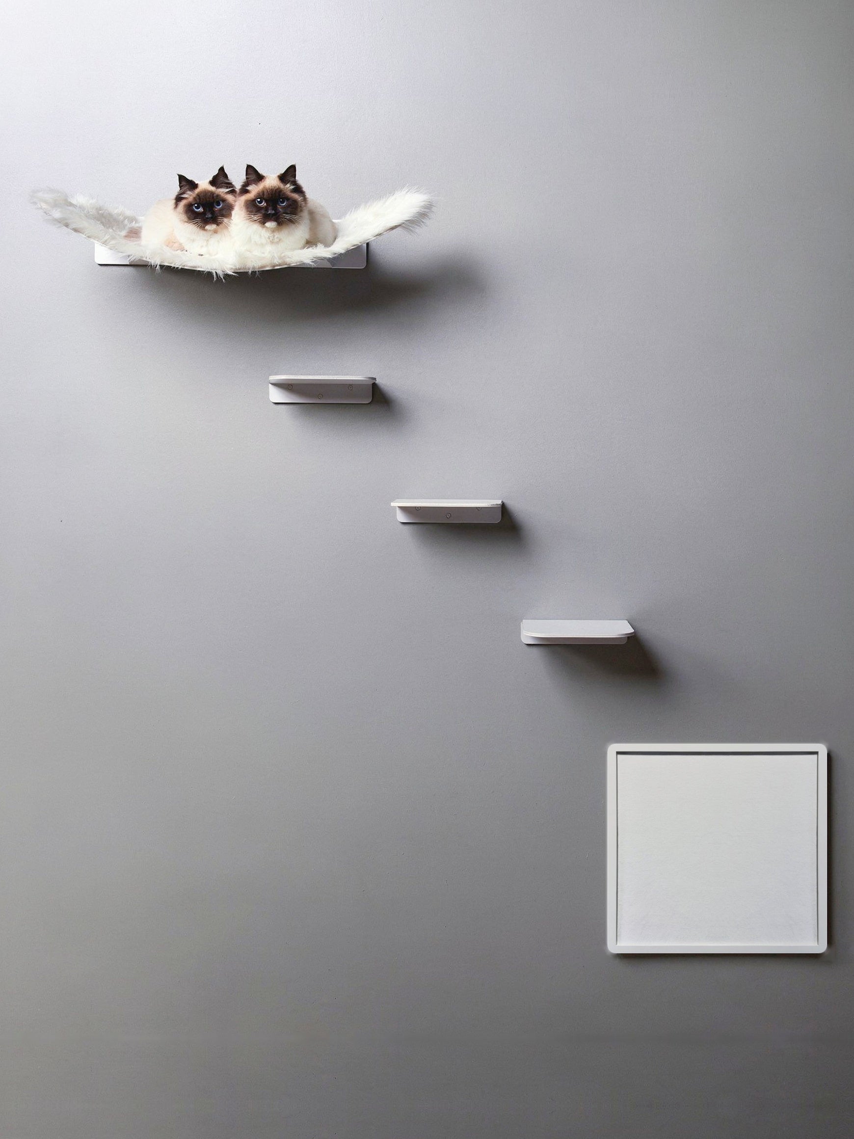 STYA Katzen Kletterwand | Set Eleganz Hängematte XXL | Linie WL300
