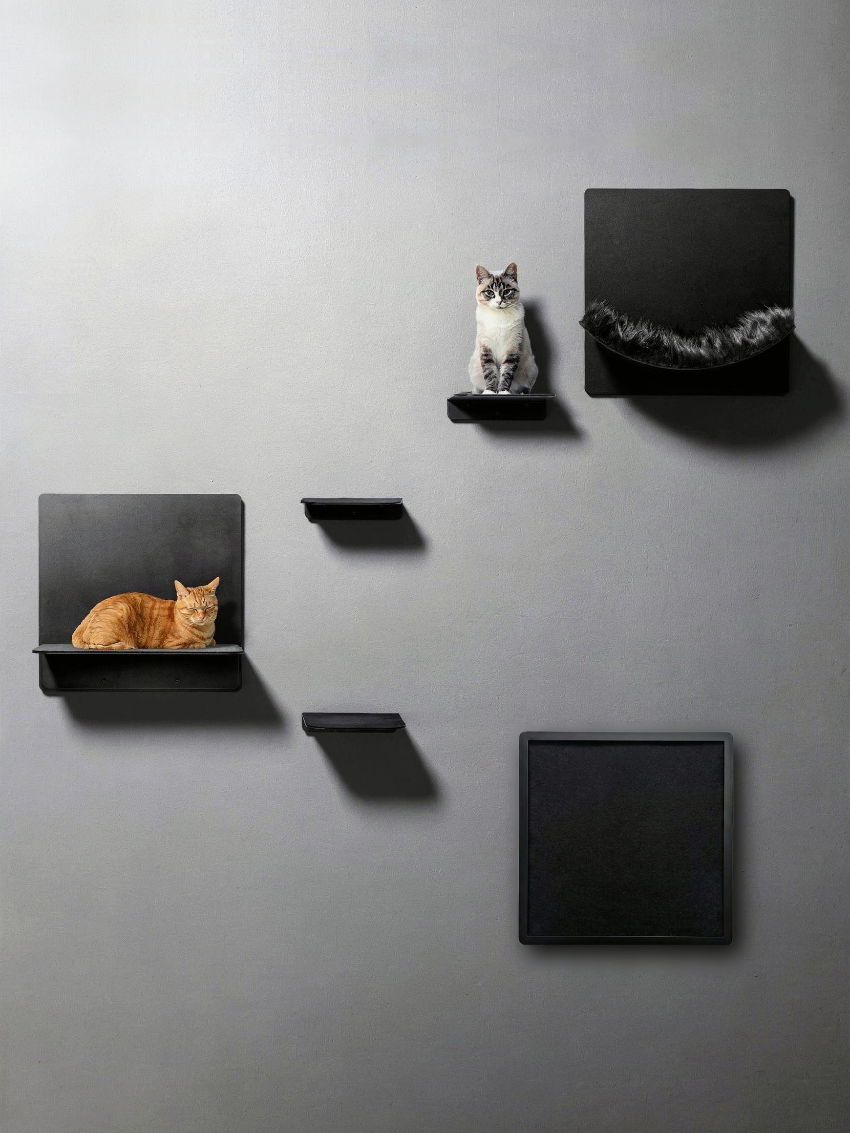 STYA Katzen Kletterwand | Set Galerie | Linie WL300