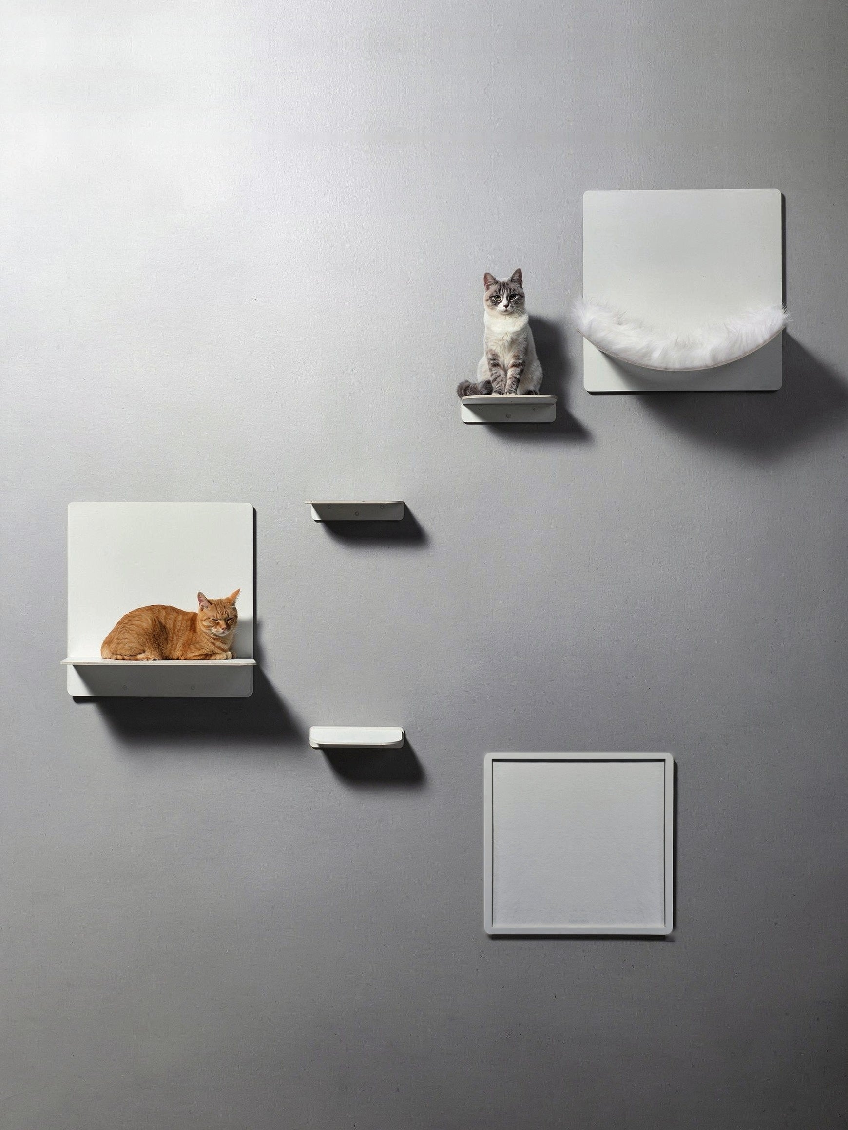 STYA Katzen Kletterwand | Set Galerie | Linie WL300