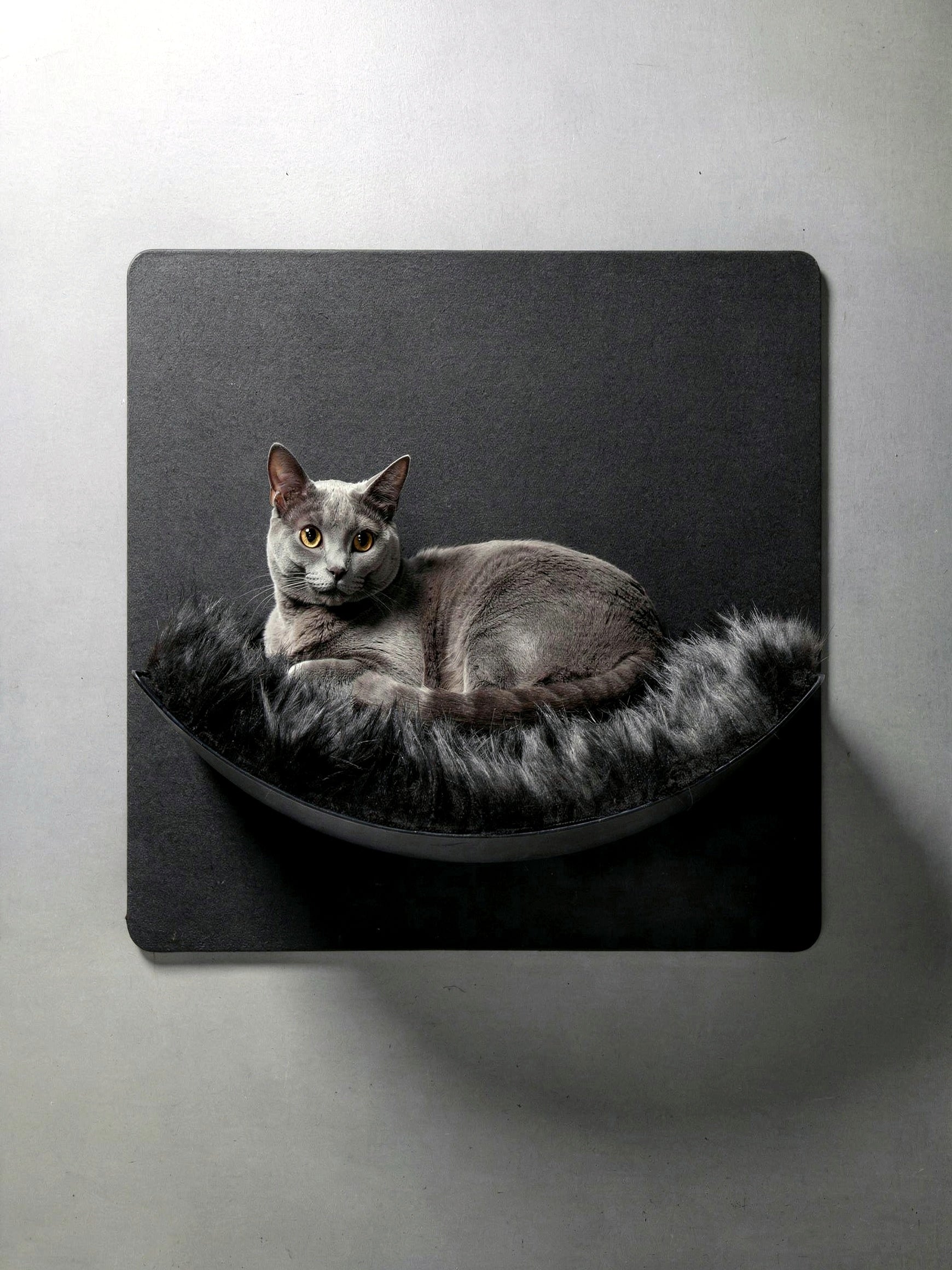 STYA Katzen Kletterwand | Hängematte WL310