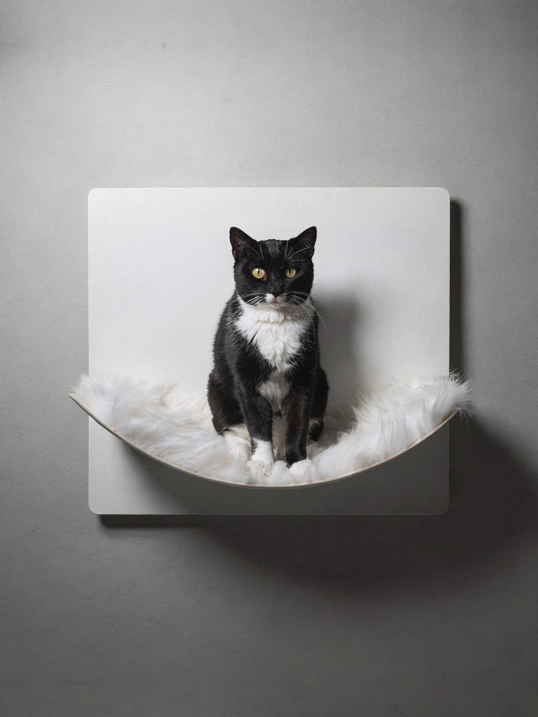 STYA Katzen Kletterwand | Hängematte WL310