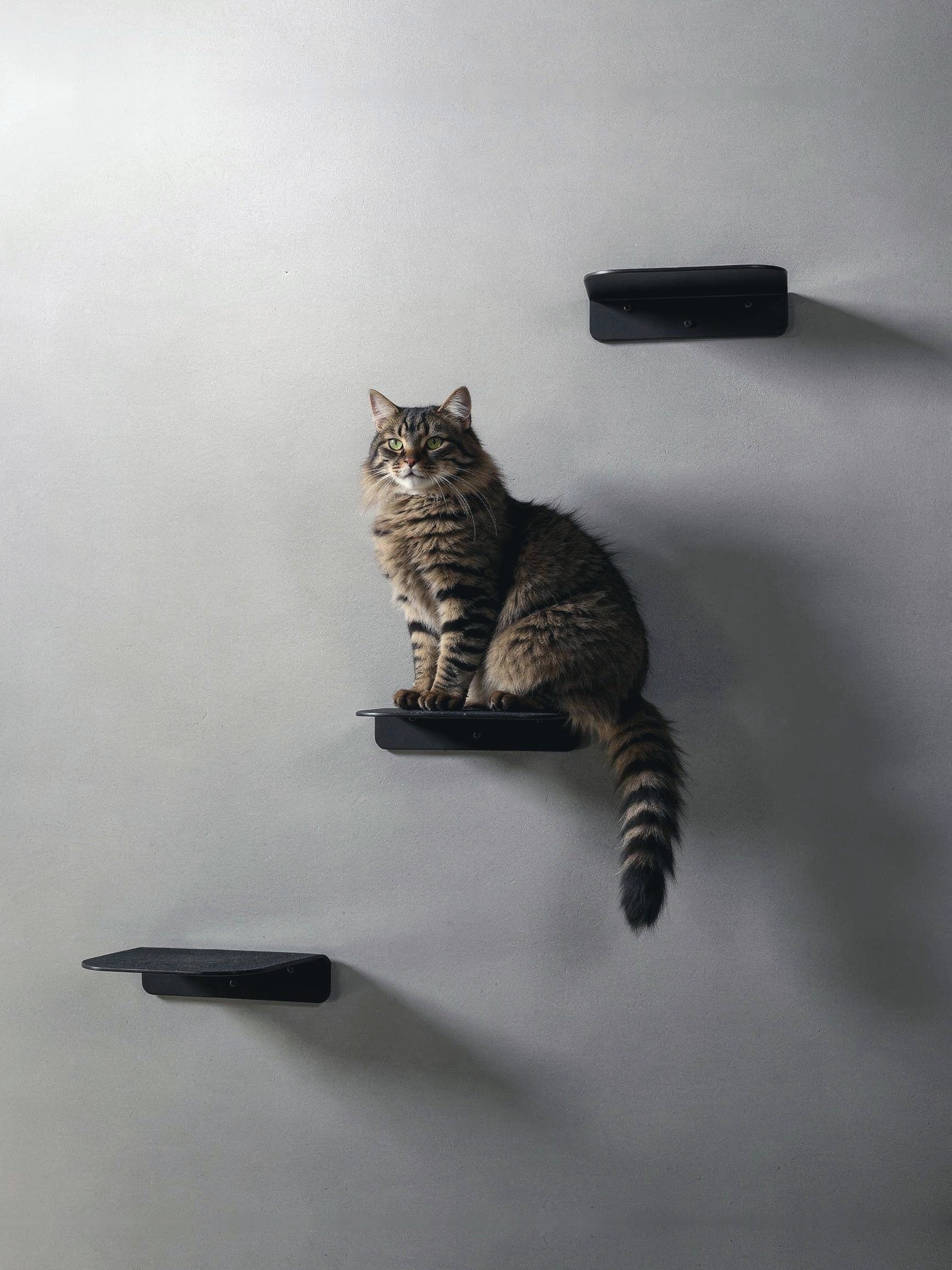 STYA Katzen Kletterwand | Katzen Treppe WL340 | Mit 3 Stufen