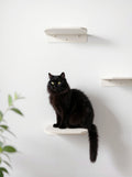 STYA Katzen Kletterwand | Katzen Treppe WL340 | Mit 3 Stufen