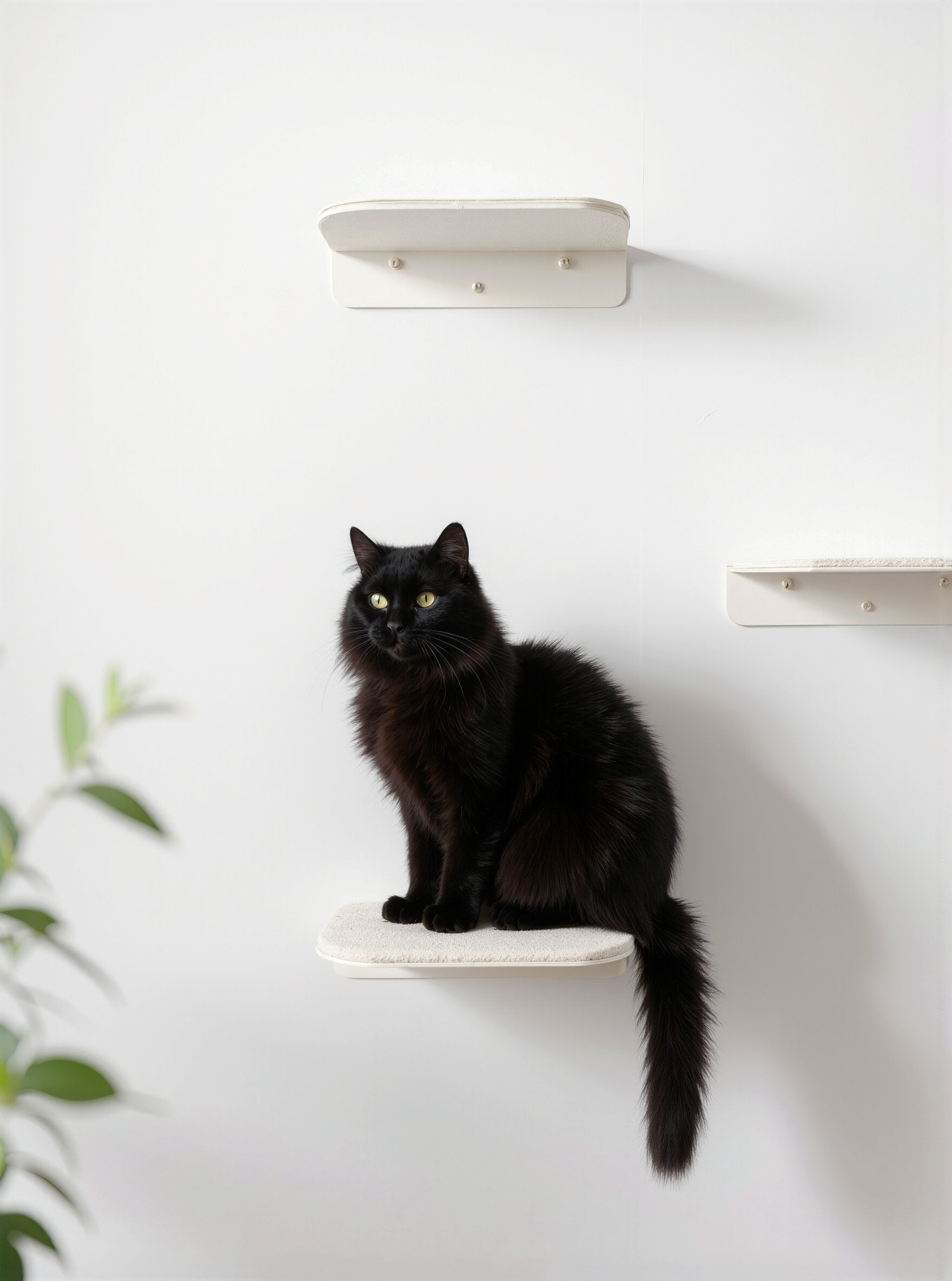STYA Katzen Kletterwand | Katzen Treppe WL340 | Mit 3 Stufen