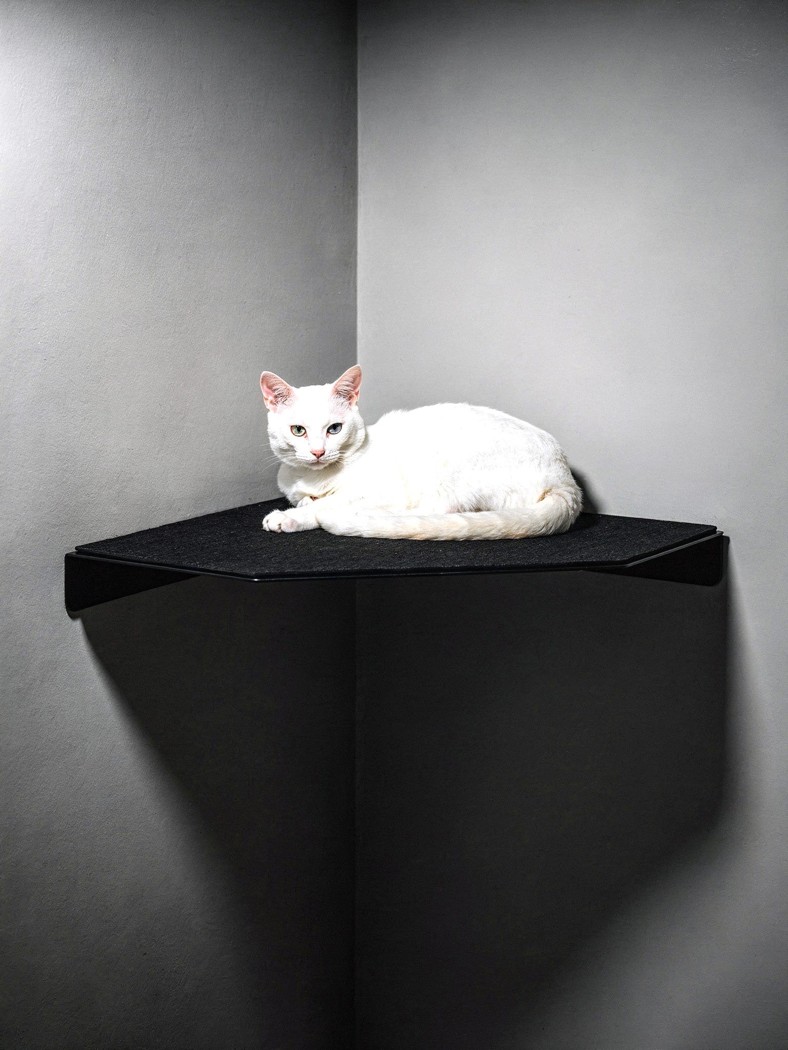 STYA Katzen Kletterwand | Eck Wandliege WL360