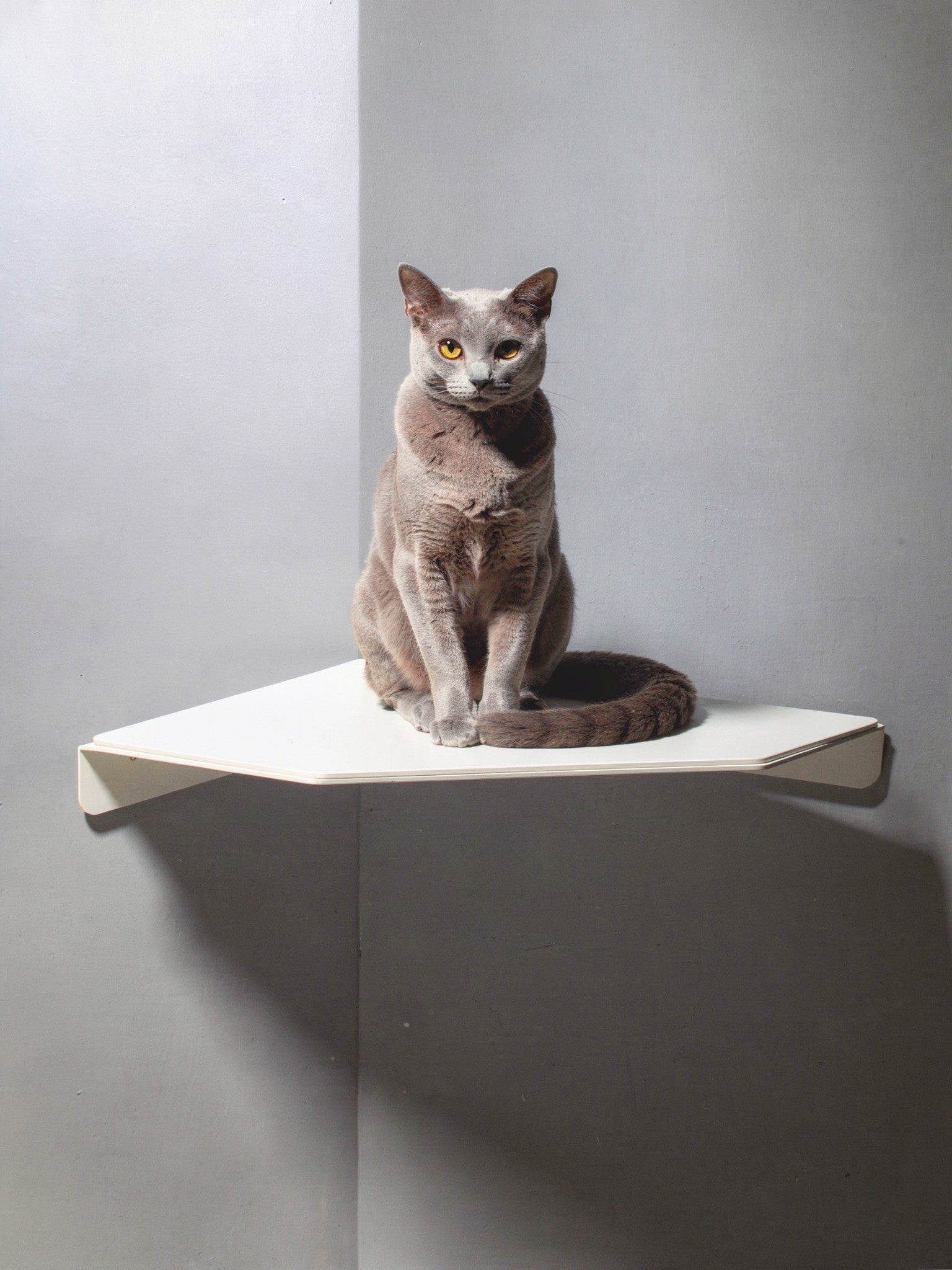 STYA Katzen Kletterwand | Eck Wandliege WL360