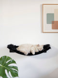 STYA Katzen Kletterwand | XXL Hängematte WL370