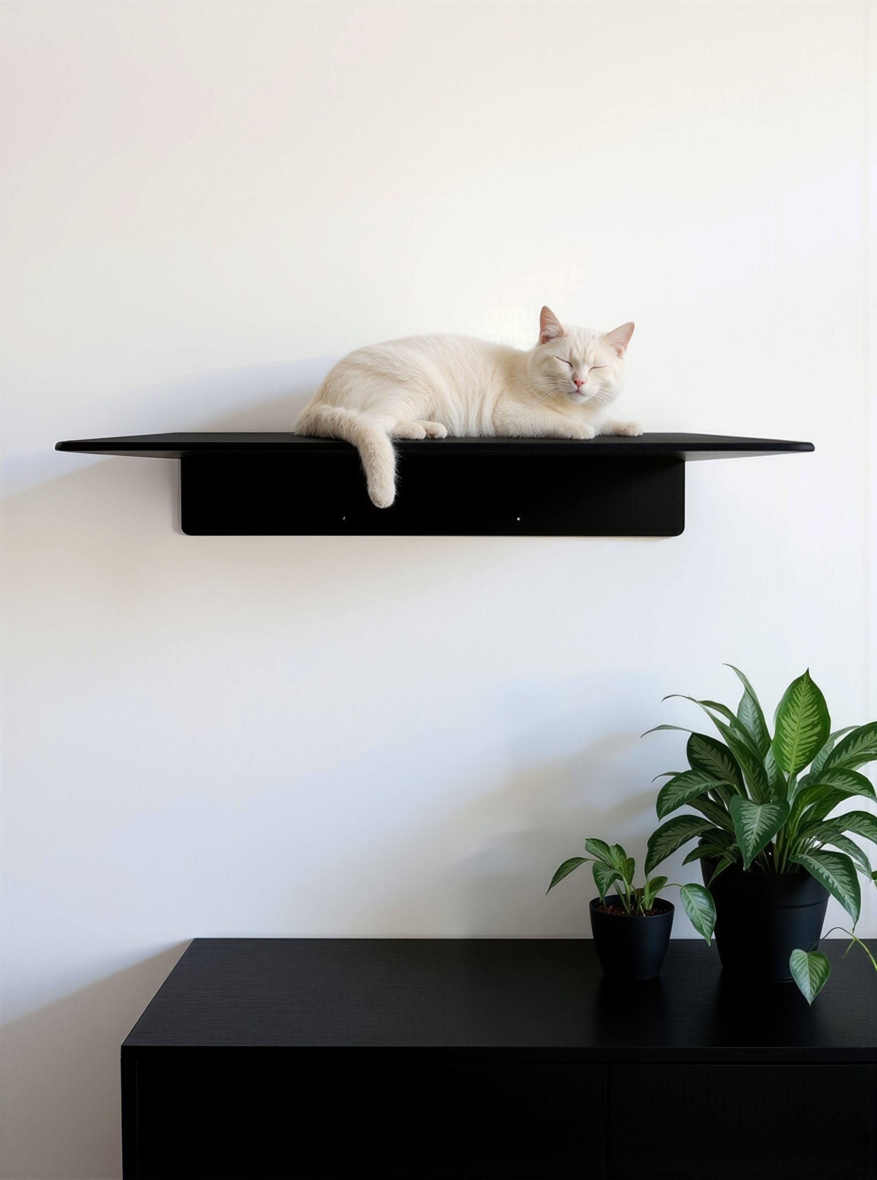 STYA Katzen Kletterwand | XXL Wandliege WL380